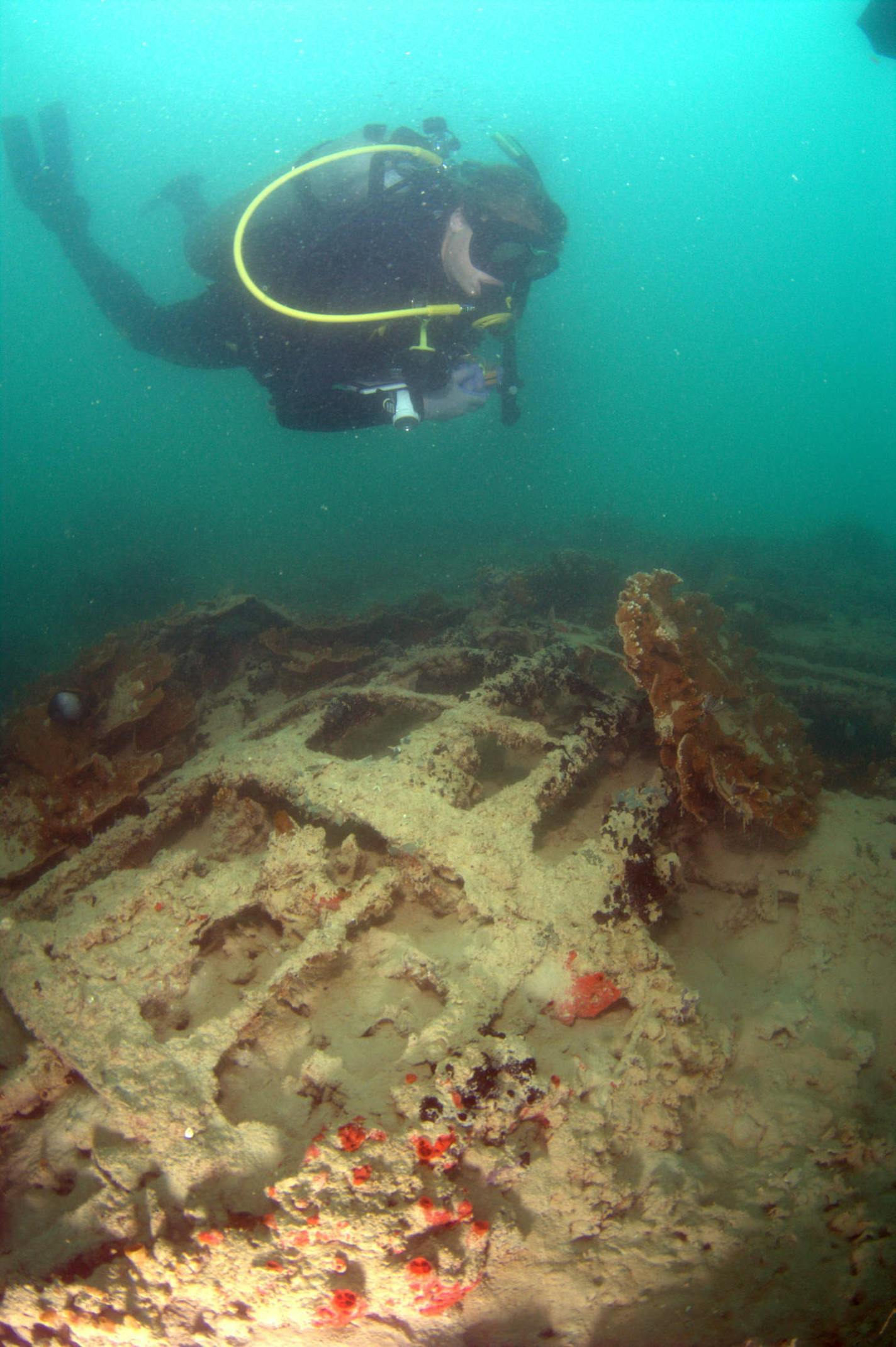 This June 15, 2015 photo provided by the University of Hawaii Marine Option program shows the wreck of a seaplane downed during the Japanese attack on Pearl Harbor. New images of the plane show a coral-encrusted engine and reef fish swimming in and out of a hull. (Jeff Kuwabara, University of Hawaii Marine Option Program via AP)