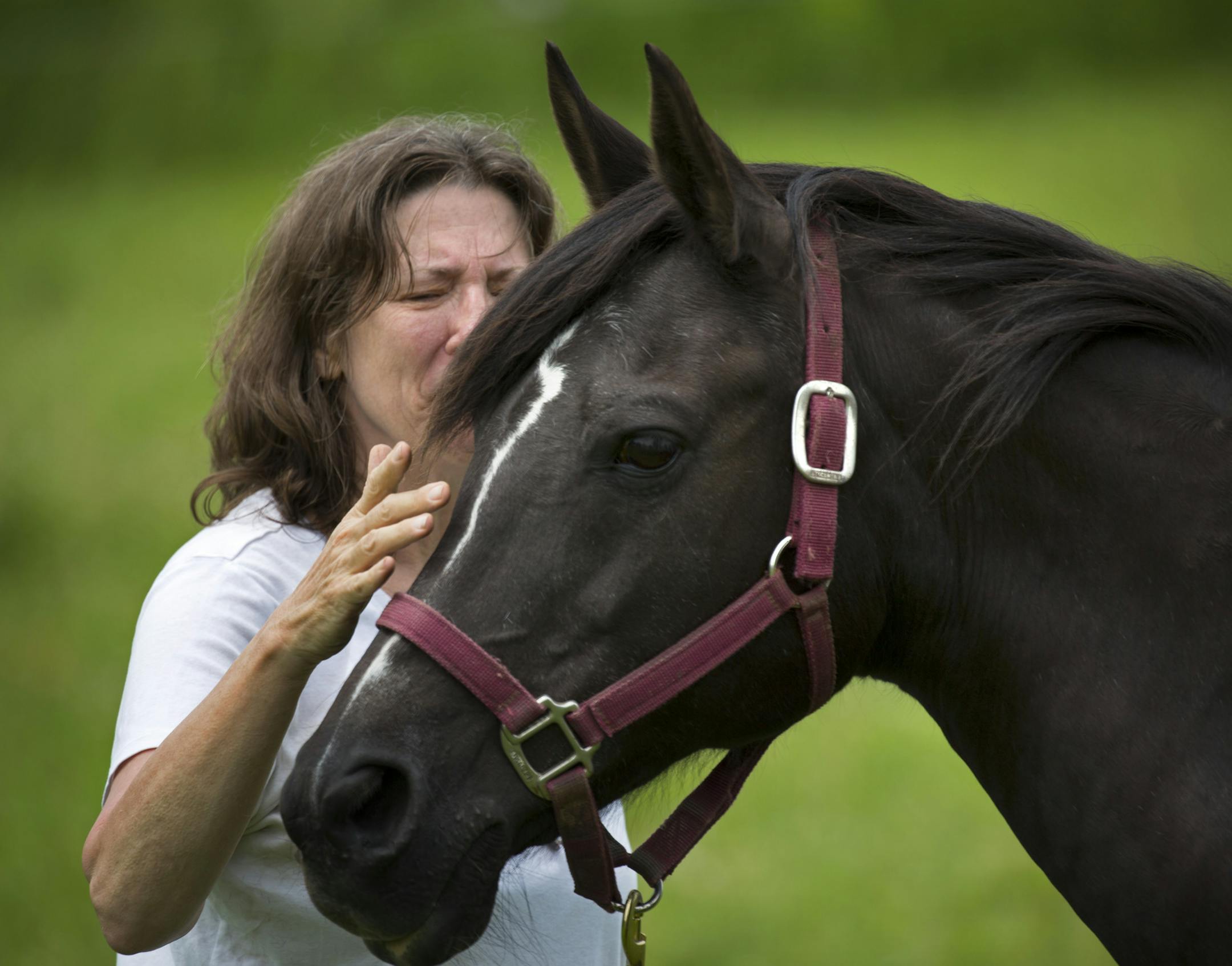Peggy Ann Harris makes a connection with a horse and confronts her life challenges. "What has been so amazing about this is that the horses have been teaching me about how powerful the mind-body connection is," Harris said.