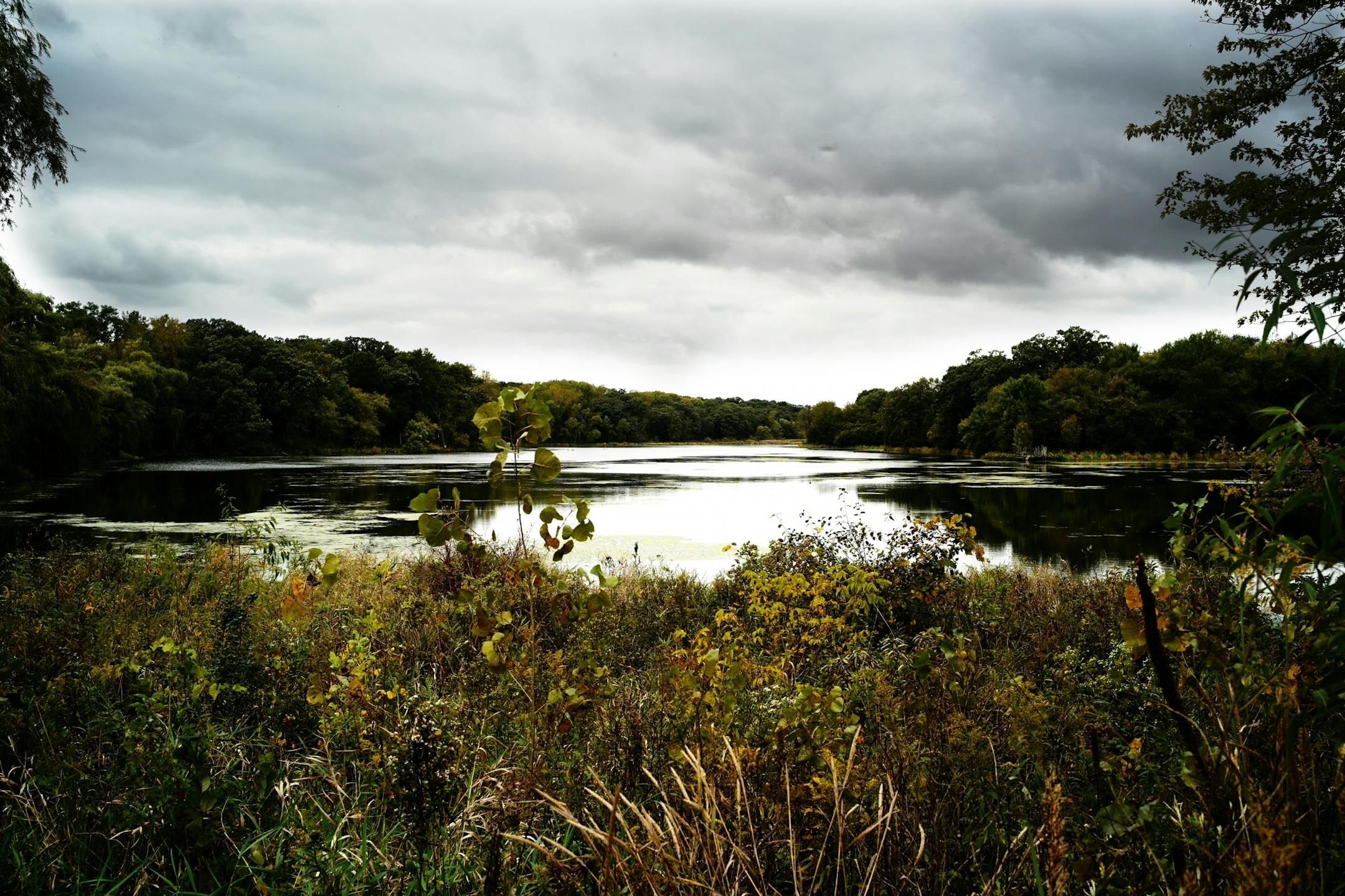 Whitetail Woods, Dakota County's newest park is designed for year round use and features Empire Lake.