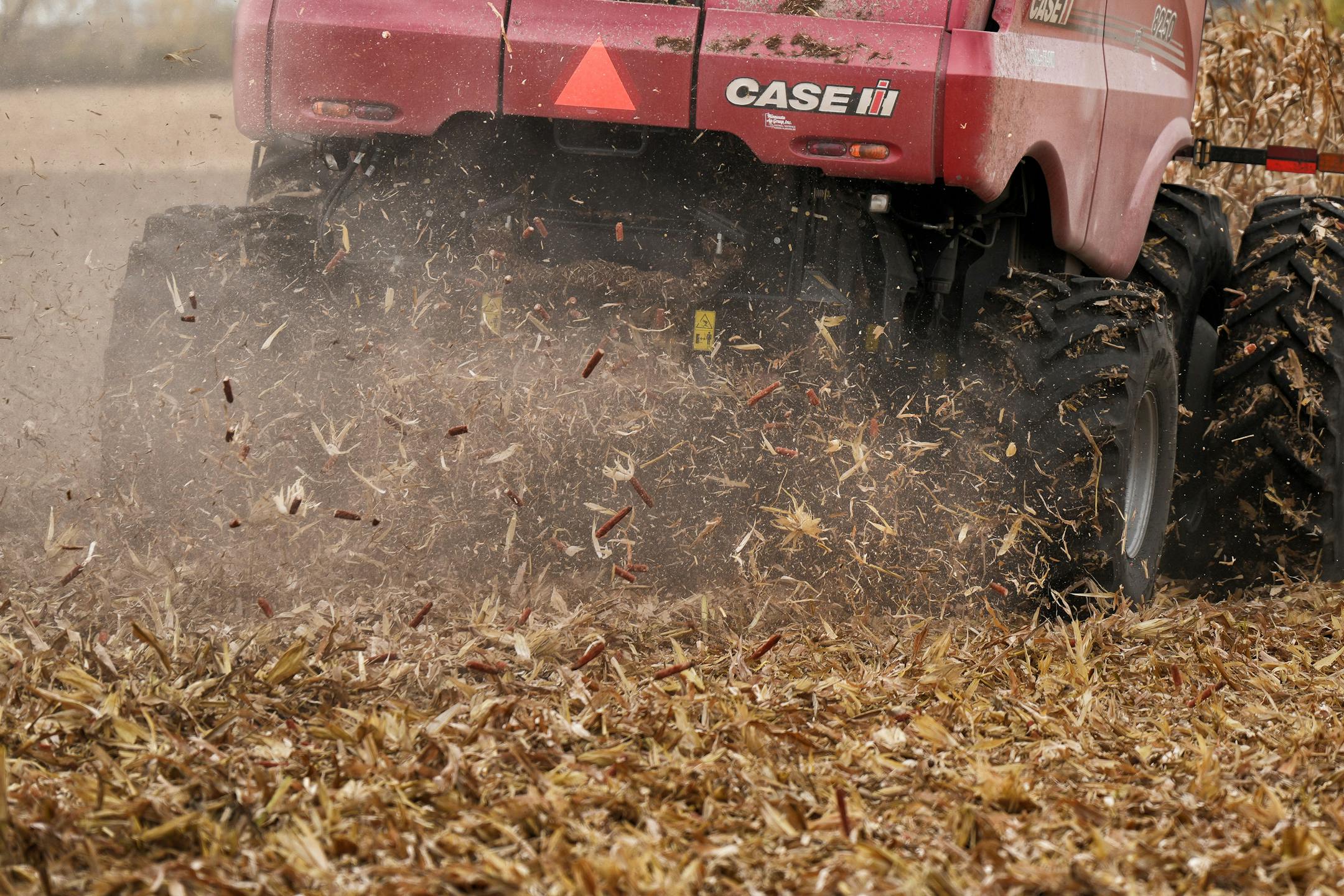 Corn kernels are separated from stalks and cobs as Ben Johnson’s father Steve Johnson drives the Case IH combine during 2025 corn harvest.
Wednesday October 22, 2025 

Glen Stubbe for The Minnesota Star Tribune