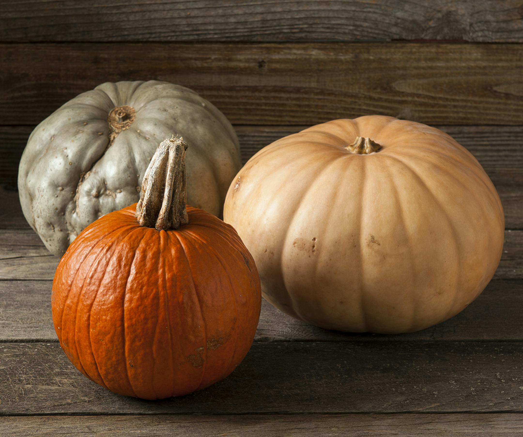 Pumpkins, by Mette Nielsen