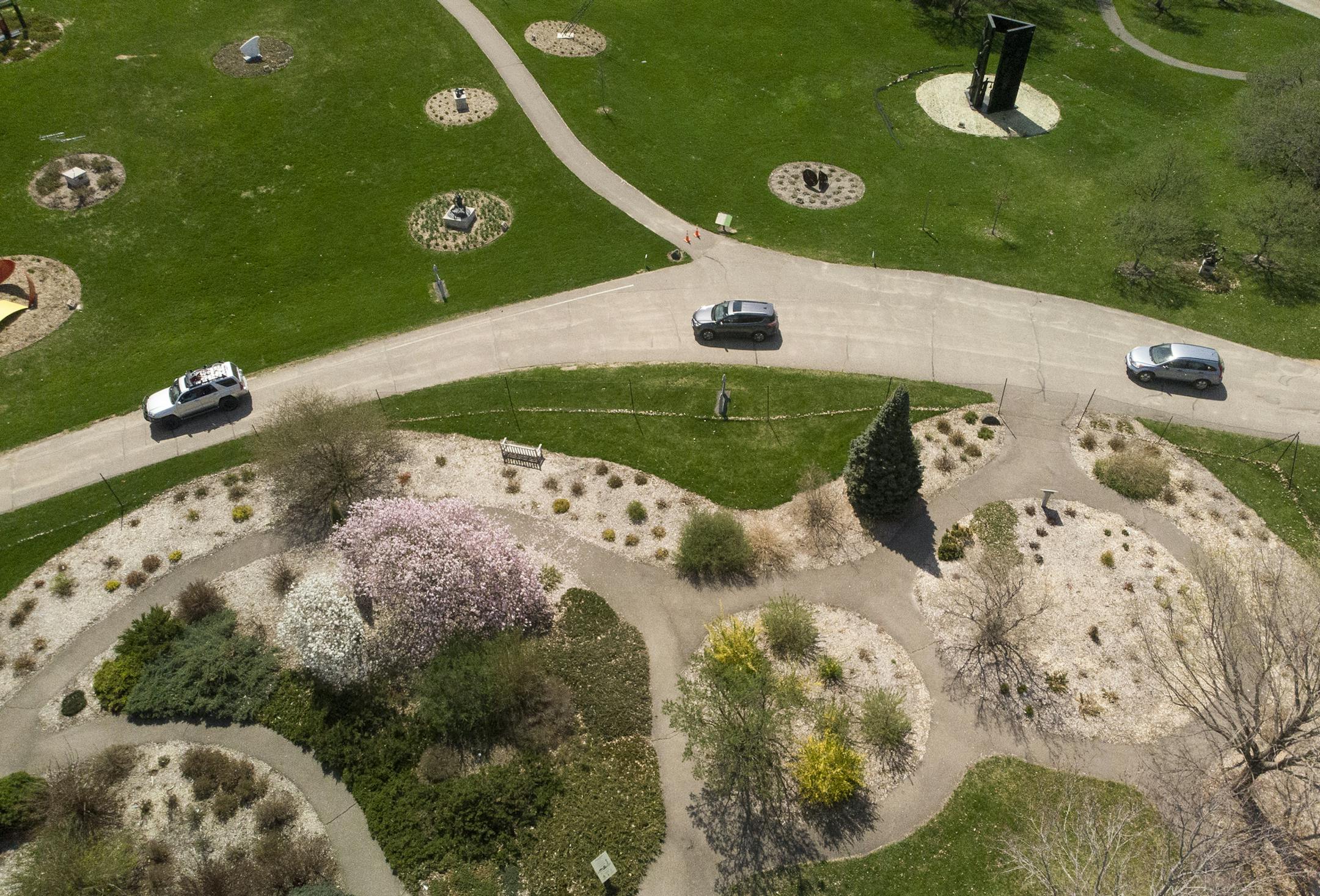 Cars drove past the Harrison Sculpture Garden and Shrub Walk and its blooming magnolia and pear trees Friday afternoon at the Minnesota Landscape Arboretum. ] aaron.lavinsky@startribune.com The 39,000 tulips blooming at the Minnesota Arboretum won't go unseen after all. The Arboretum opens Friday on a very limited pre-register, drive-through-only, no-parking basis. We photograph the opening on Friday, May 1, 2020 at the Minnesota Landscape Arboretum in Chaska, Minn.