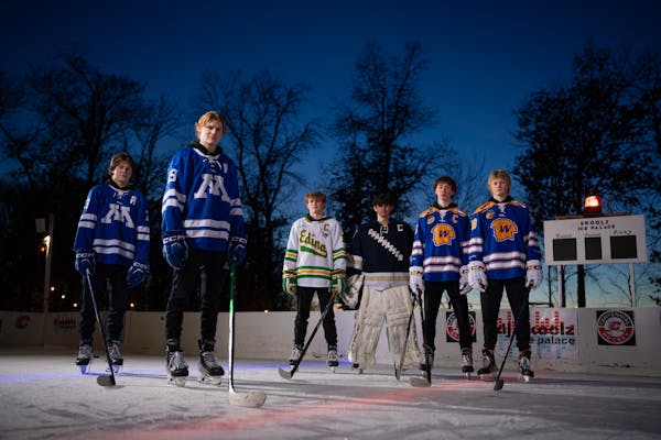 Who made the boys hockey All-Metro teams? Our best 26 players.