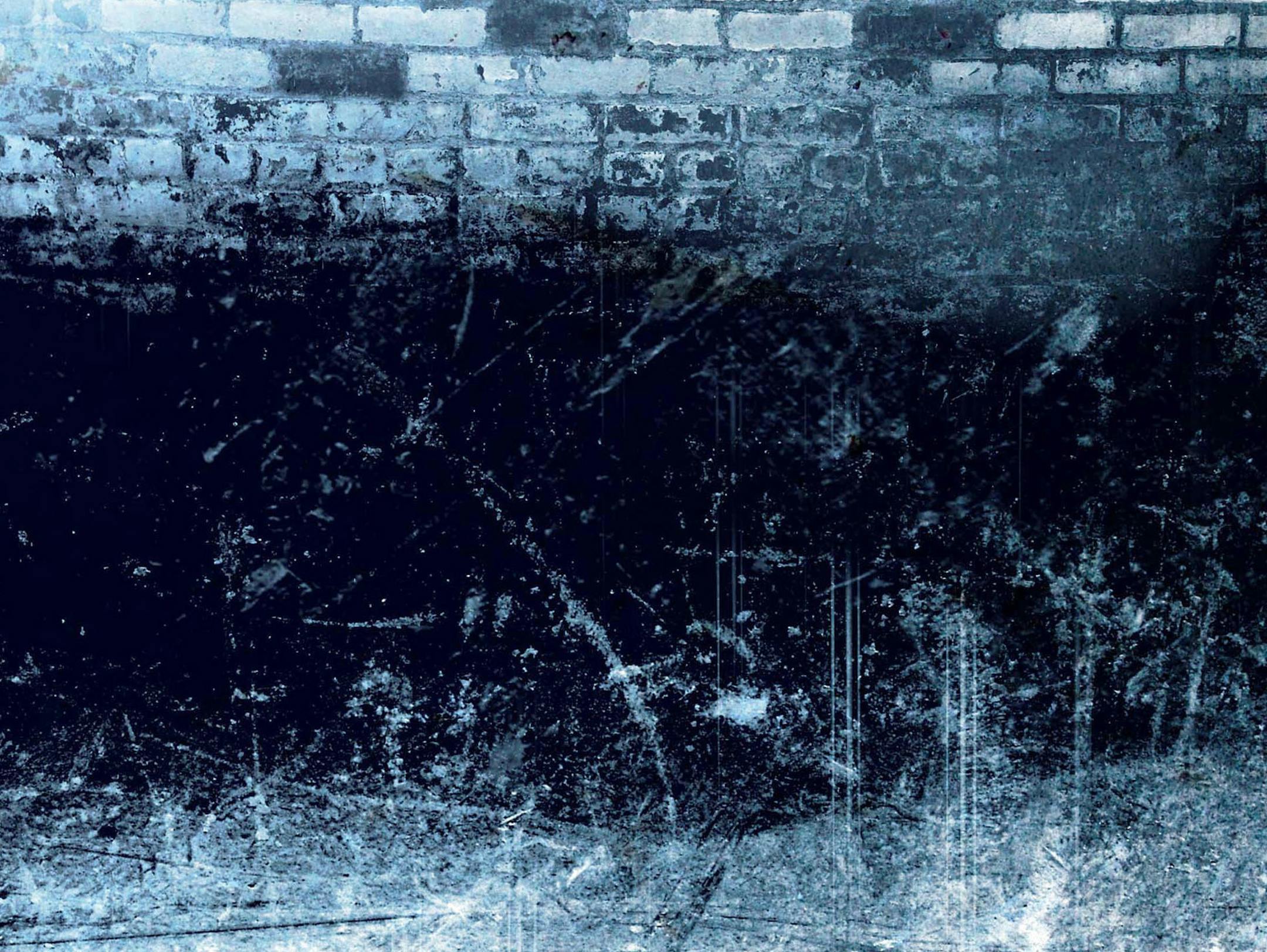 Martin Gee/San Jose Mercury News/TNS ORG XMIT: 1051297