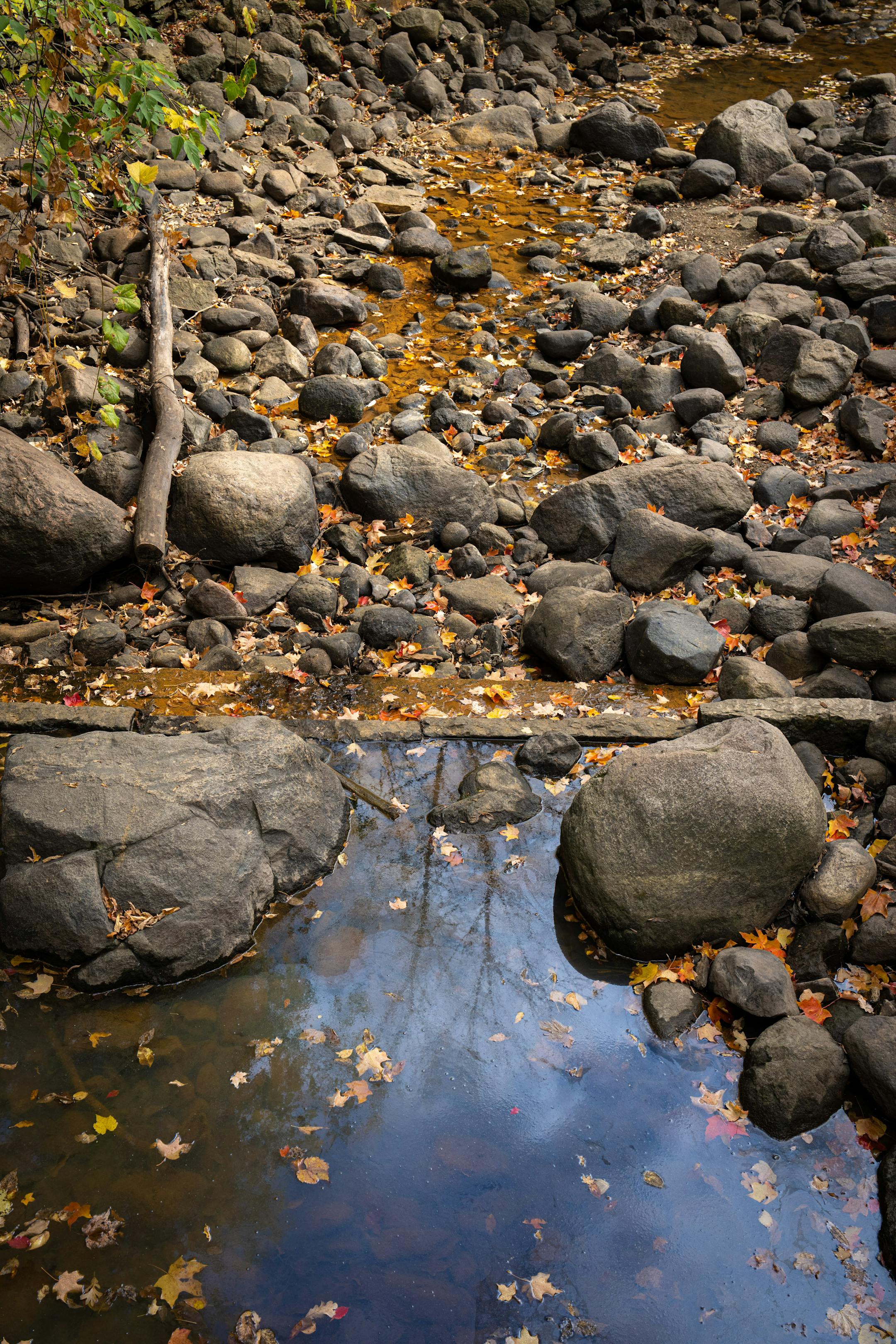 A small pool of Minnehaha Creek near Minnehaha Falls in Minneapolis.