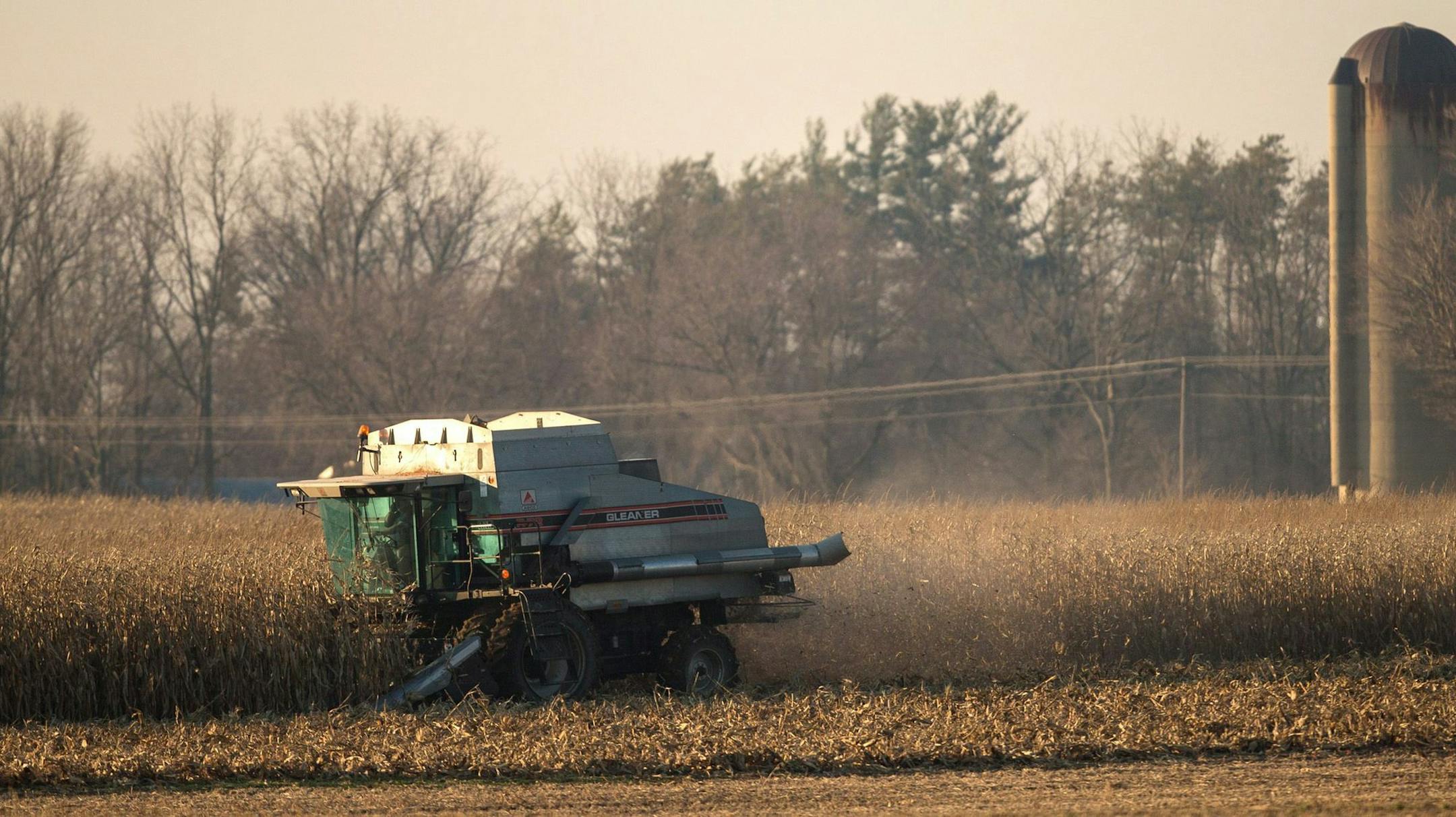 A farmer harvests corn in a field southwest of St. Thomas, Ontario, Thursday, November 22, 2012. Southwestern Ontario has been in somewhat of a heatwave with temperatures in double digits for most of the week. (AP Photo/Geoff Robins, The Canadian Press) ORG XMIT: CPOTK