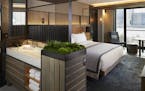 A typical room at the 1 Hotel is compact, while offering space for tons of storage and greenery. (MUST CREDIT: 1 Hotel Brooklyn Bridge) ORG XMIT: 5471