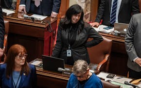 Sen. Heather Gustafson, DFL-Vadnais Heights, sponsored the bill that increased penalties for straw buyers who purchase guns on behalf of those not all