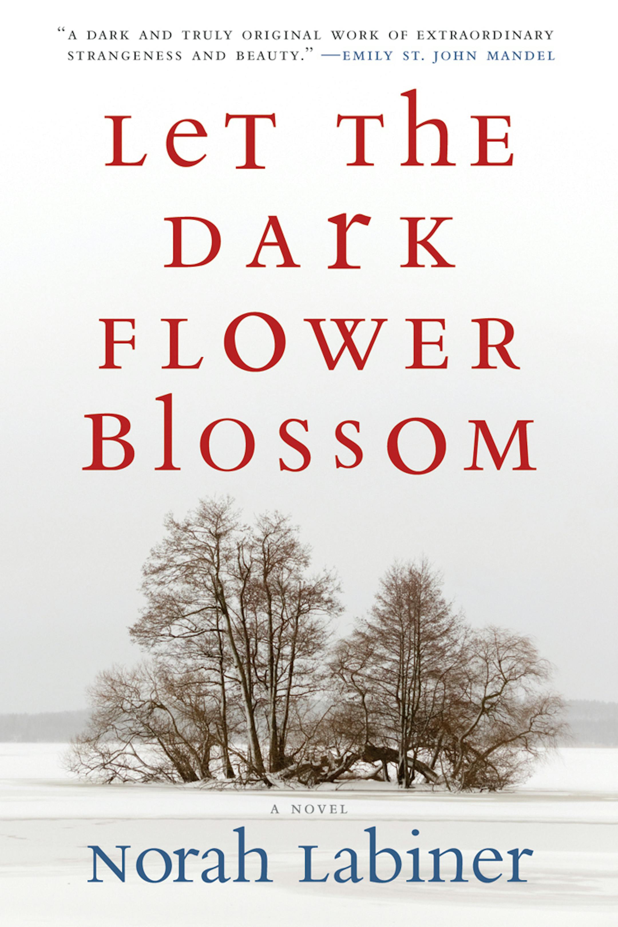 "Let the Dark Flower Blossom," by Noran Labiner.