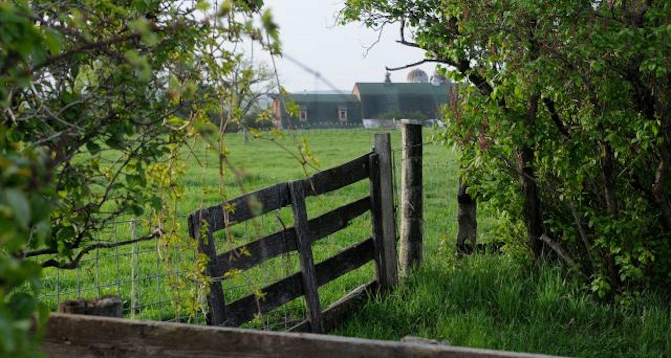 Bloomington, Mn. Friday 4/23/10 The Kelley farm, is the last large undeveloped plot of land in Bloomington, have gone to court to ask the city to use eminent domain to take the land. United Properties has been trying to buy the land for years for an office development, but the owners say they can't get the price they want because the land has been devalued by building restrictions tied to a airport runway safety zone.