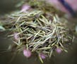 Wild rice grows exclusively in some parts of the Great Lakes states, primarily Minnesota. Richard Tsong-Taatarii/Richard.tsong-taatarii@startribune.co