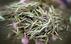 Wild rice grows exclusively in some parts of the Great Lakes states, primarily Minnesota. Richard Tsong-Taatarii/Richard.tsong-taatarii@startribune.co