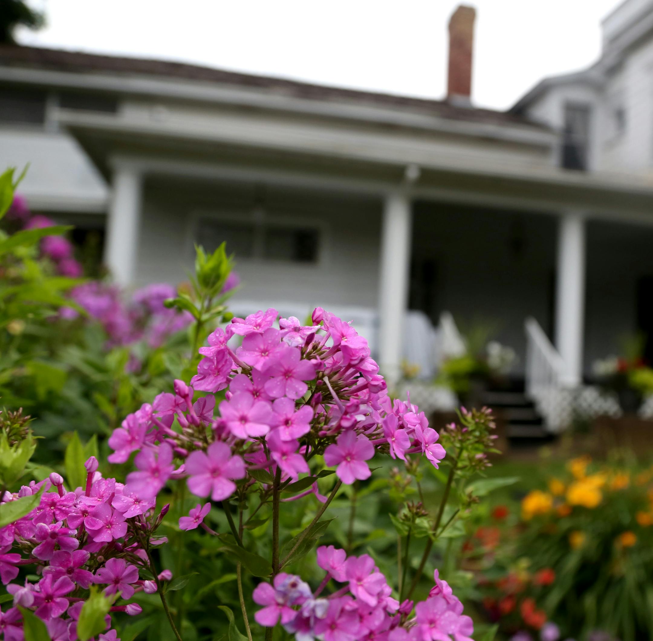 The gardens in the backyard at Cedarhurst Mansion. ] (KYNDELL HARKNESS/STAR TRIBUNE) kyndell.harkness@startribune.com At Cedarhurst Mansion in Cottage Grove, Min., Thursday, July 16, 2015.