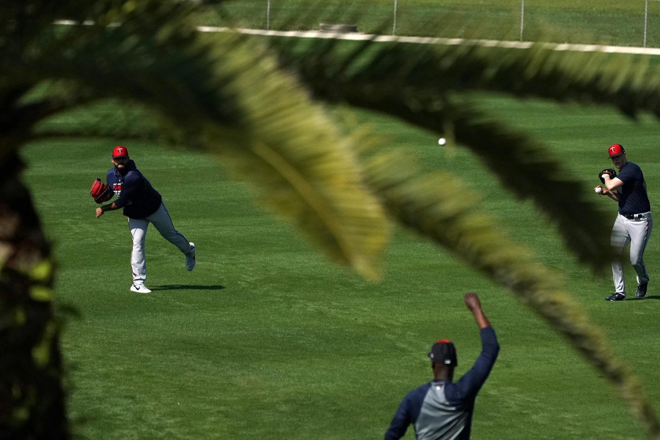 Palm fronds framed players as they worked on the practice field Saturday.