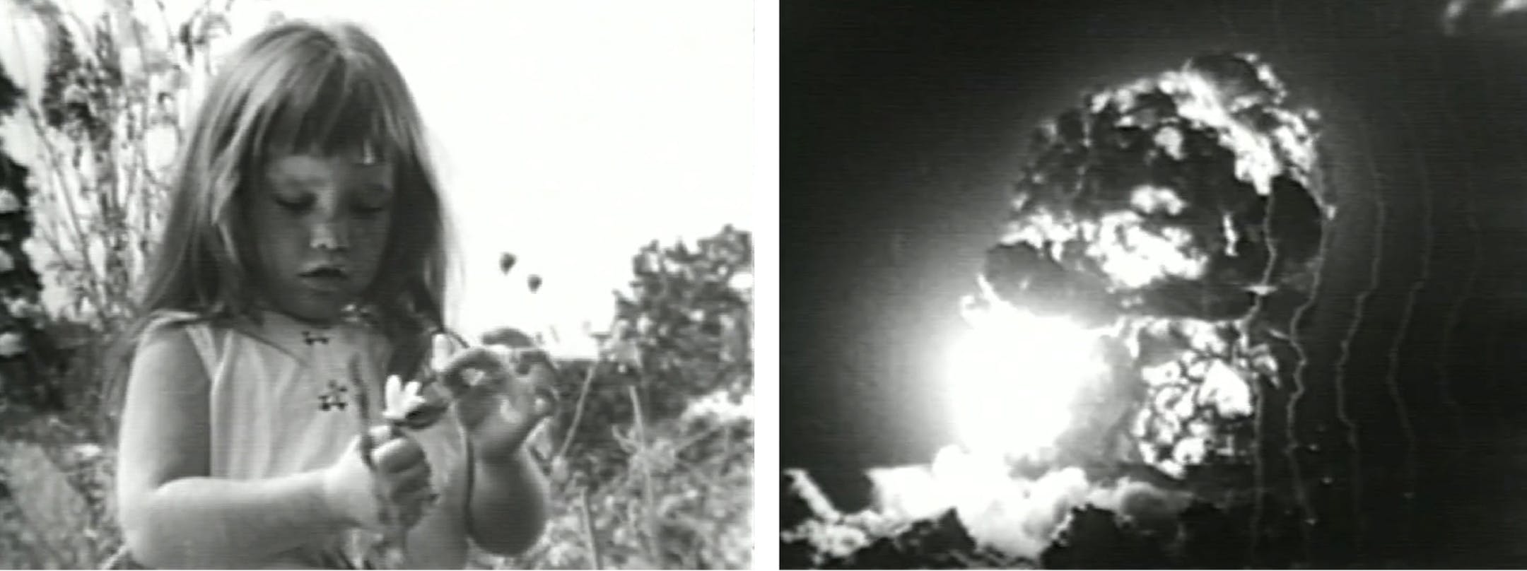 ADVANCE FOR USE MONDAY, OCT. 22, 2012 AND THEREAFTER - This combination of images made from video made available by the Democratic National Committee via the LBJ Library shows a girl plucking petals from a flower, left, and a mushroom cloud from a nuclear explosion in a 1964 presidential campaign television commercial titled "Peace, Little Girl" and known as the "Daisy Spot" made by the DNC for Lyndon B. Johnson in his race against former Sen. Barry Goldwater. Probably the most famous of all cam