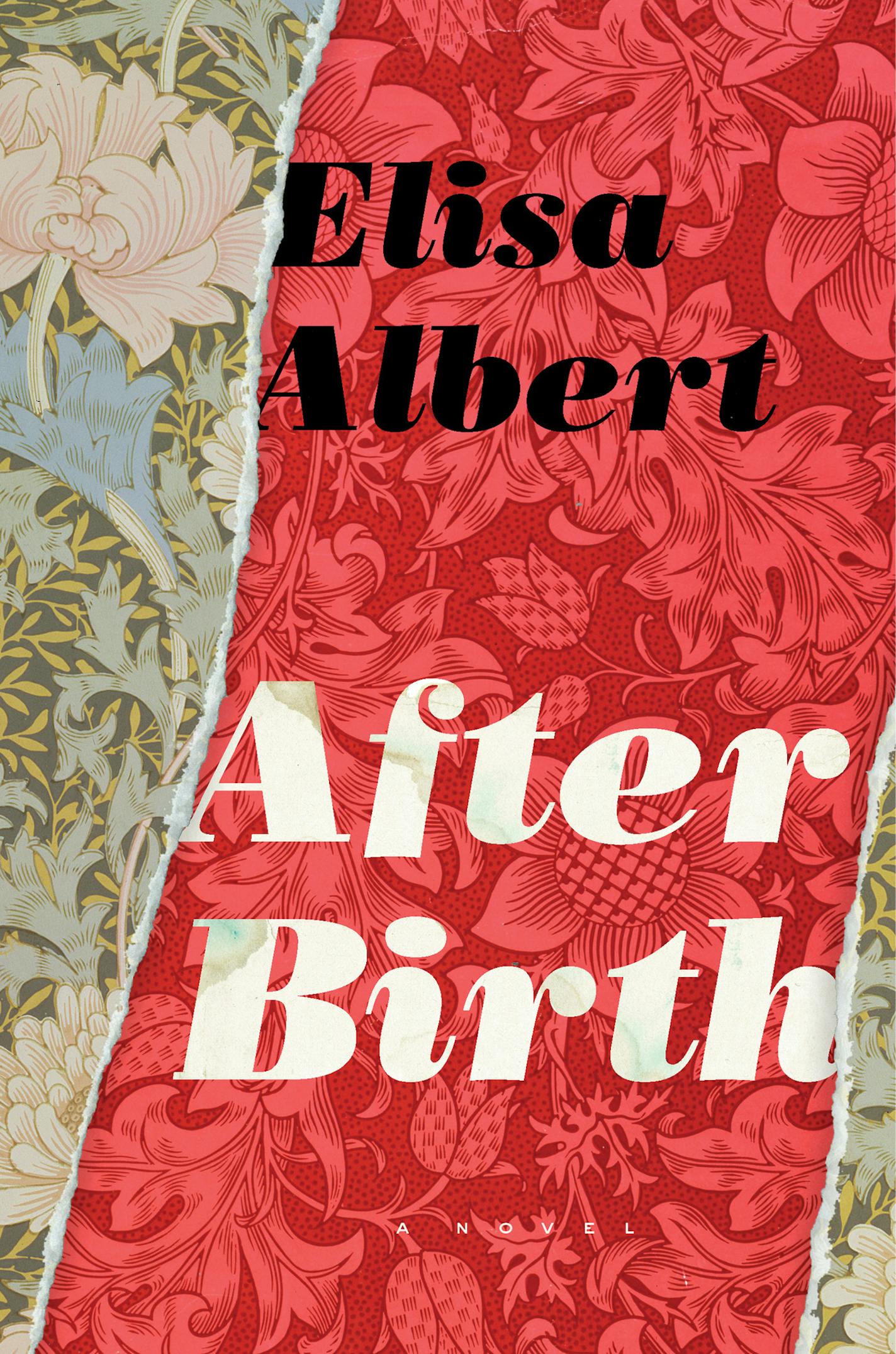 "After Birth," by Elisa Albert