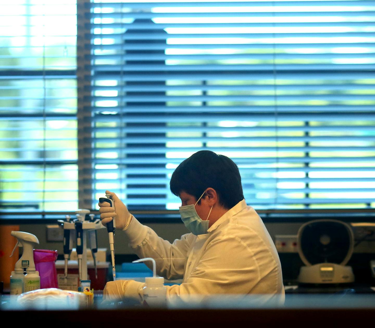 Anne Ciecko worked on extracting DNA at the Anoka crime lab. ] (KYNDELL HARKNESS/STAR TRIBUNE) kyndell.harkness@startribune.com The crime lab at the Anoka County Sheriff's office in Andover , Min., Tuesday August 25, 2015.