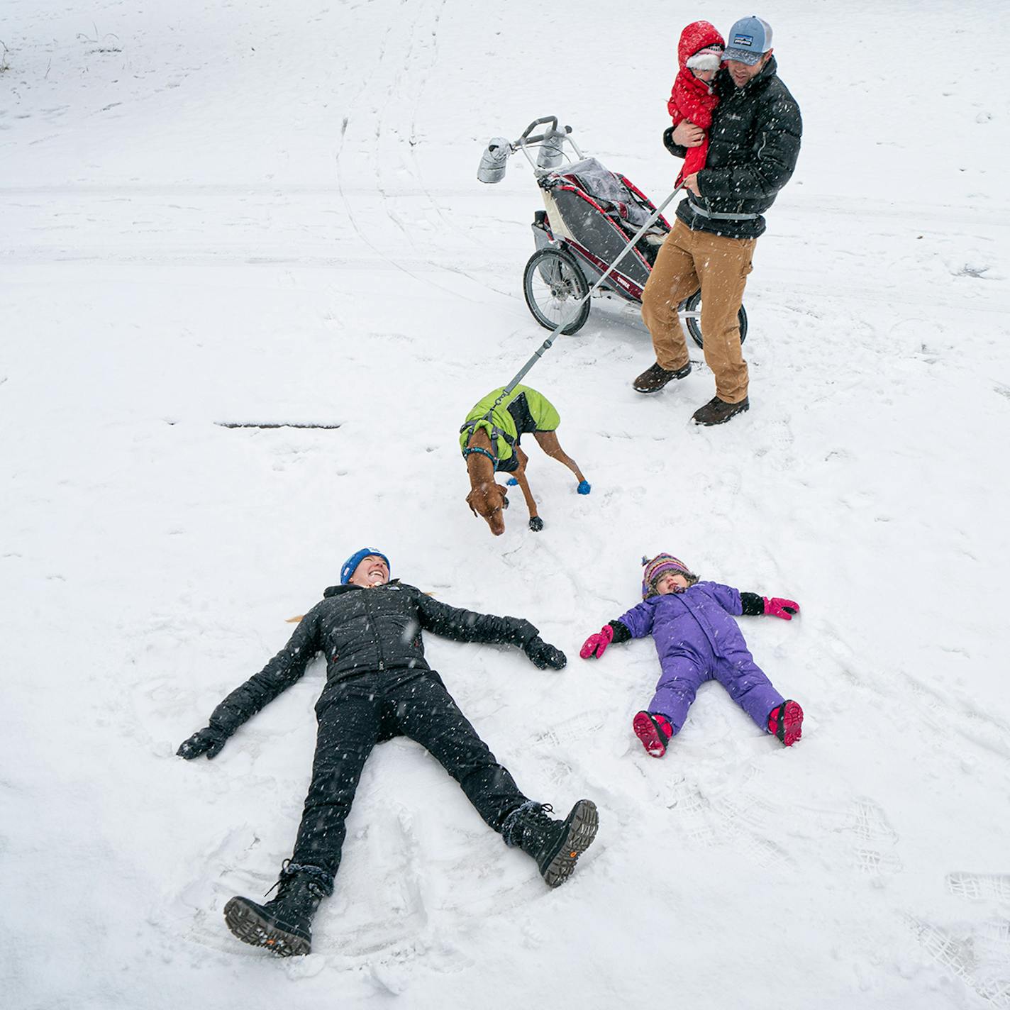 Mackenzie Havey and daughter Liesl, 3, made some snow angels Dec. 30 in Arden Park in Edina. Husband Jason, Liv, 5 months, and Welly the Vizsla were out, too.