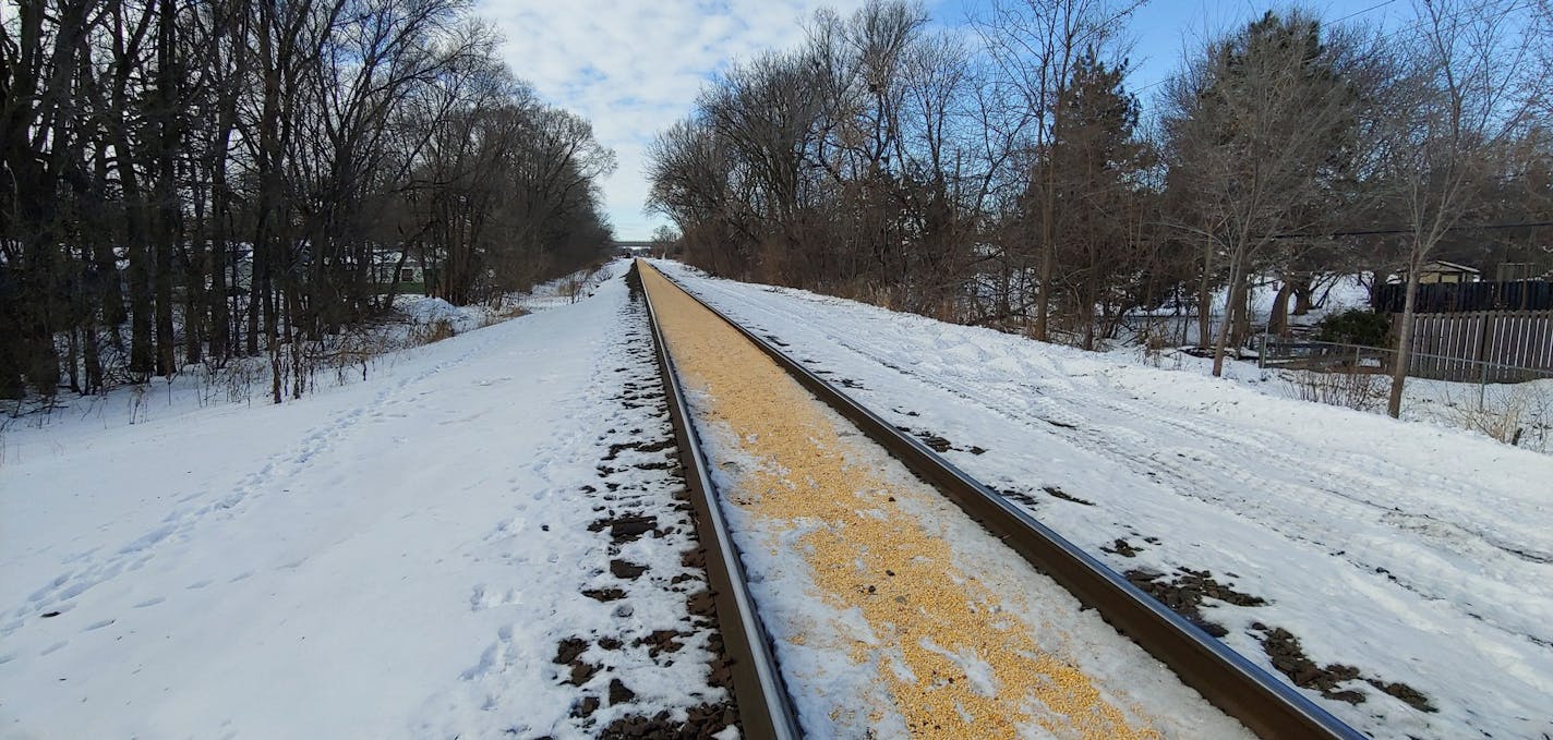 Corn spilled on the train tracks in Crystal, Minn.