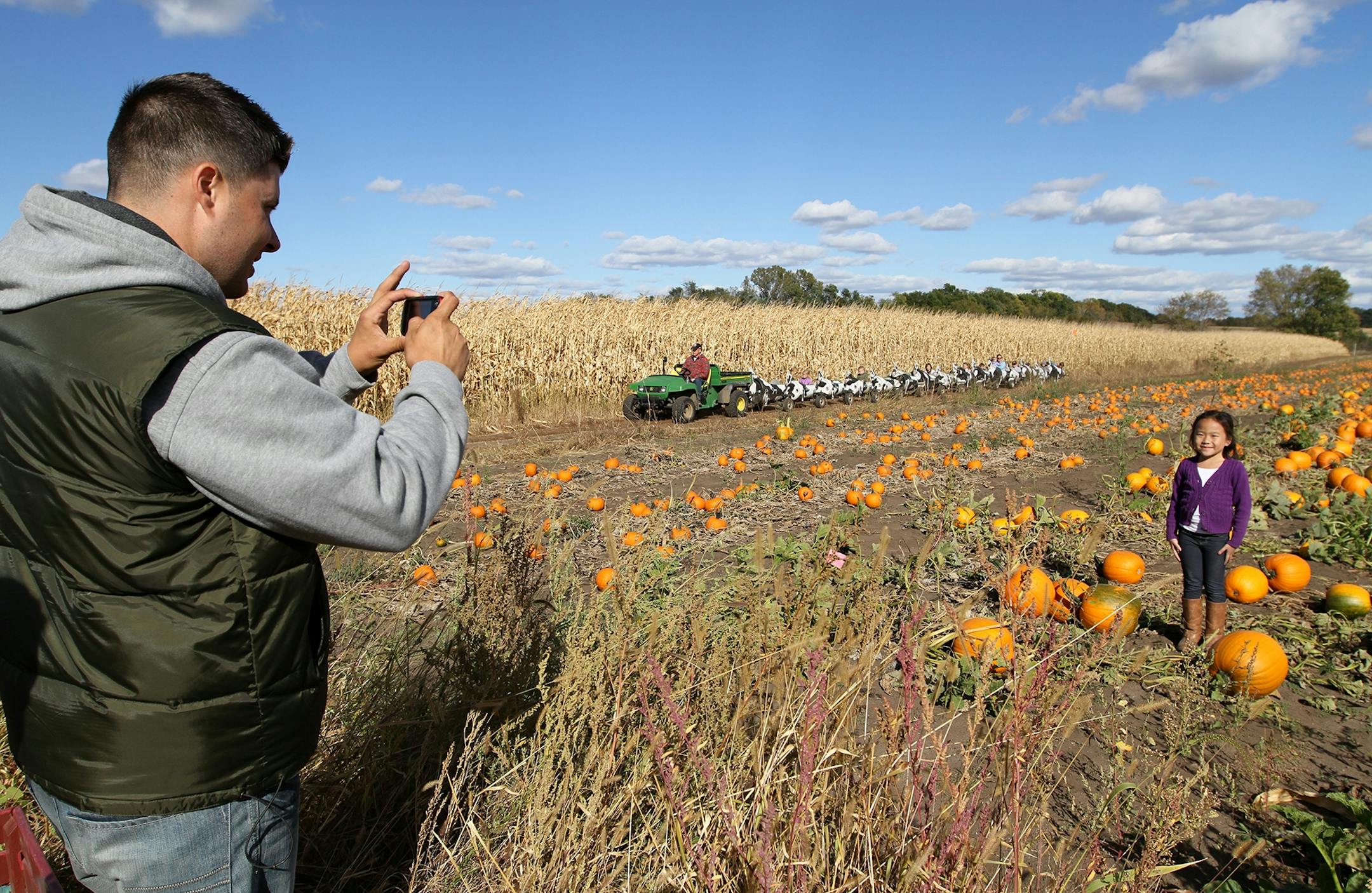 Nick Waldee took a picture of his girlfriend's 6-year-old niece, Sophia Vang, in a pumpkin patch at Apple Jack Orchards in Delano, Minn.