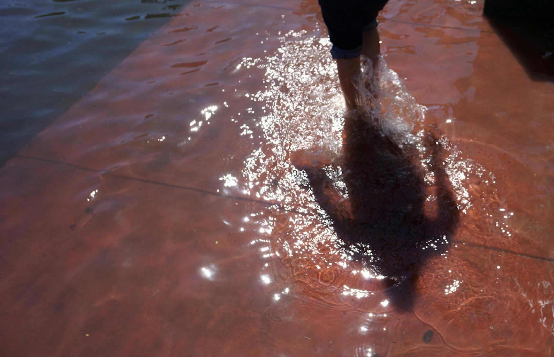 The sidewalk in Miami along Alton Road was under water at 10th Street, October 18, 2012. Scientists and activists held a news conference at the corner that day to draw attention to sea level rise.