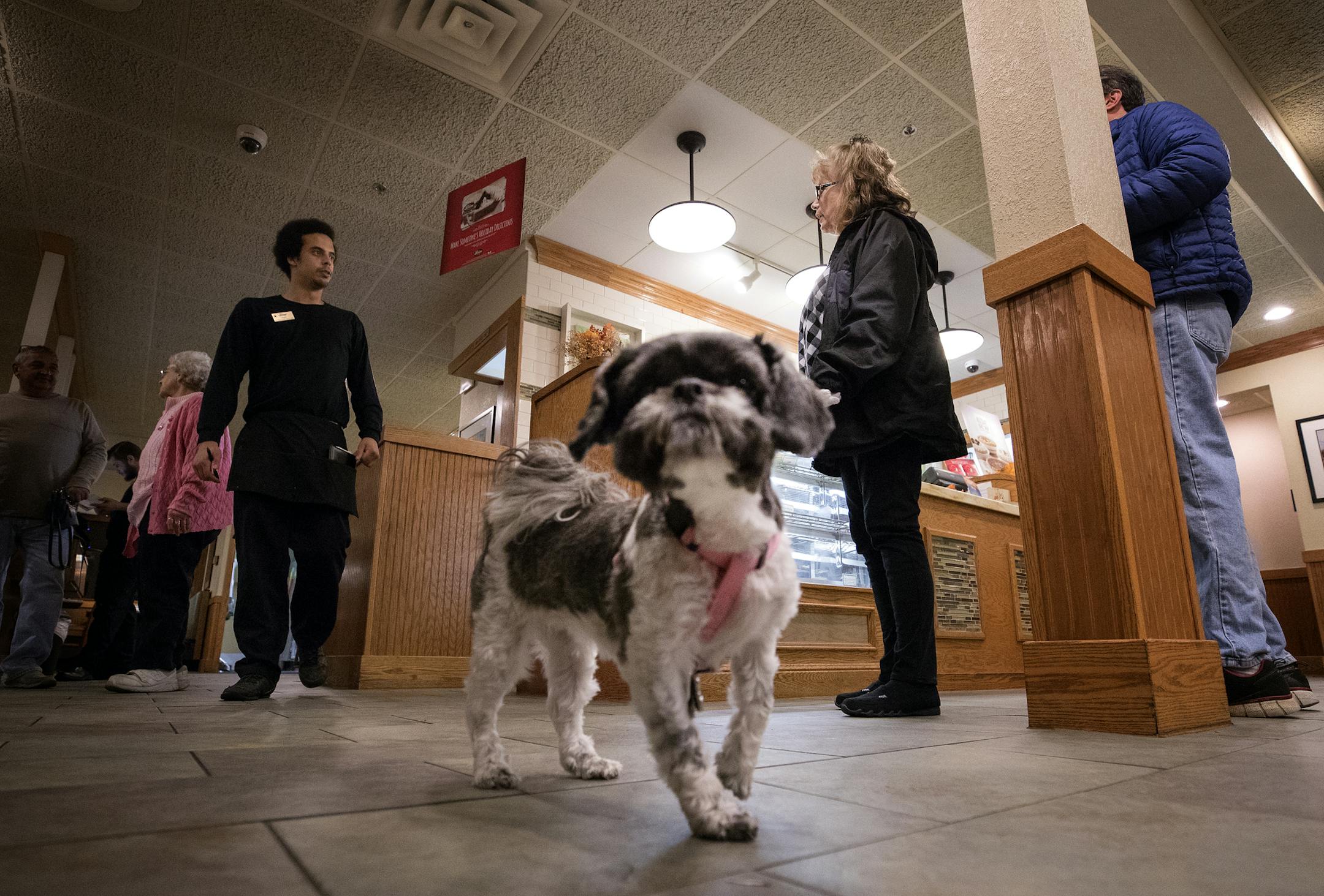 Jane Poeschel and her Shih Tzu therapy dog Trudy waited to be seated at Perkins in New Brighton. The pair faced a heated battle with Poeschel's apartment complex, which culminated in a federal civil rights lawsuit filed last year.