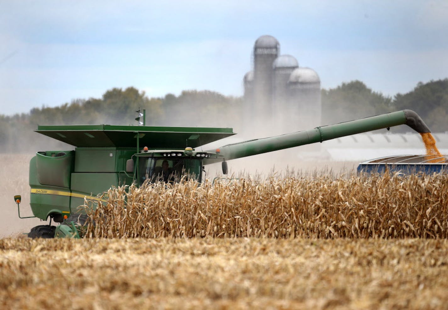 Members of the Peterson family, who operate Far-Gaze Farms, worked harvesting corn on one of their fields, this one 142 acres, Friday, Oct. 9, 2015,near Northfield, MN.](DAVID JOLES/STARTRIBUNE)djoles@startribune.com Crop estimates to be released Friday may show that Minnesota corn and soybean farmers are forecast to produce record crops in 2015, due largely to early planting and adequate summer rain. The healthy crops won't necessarily make farmers rich, since crop prices remain stubbornly low.