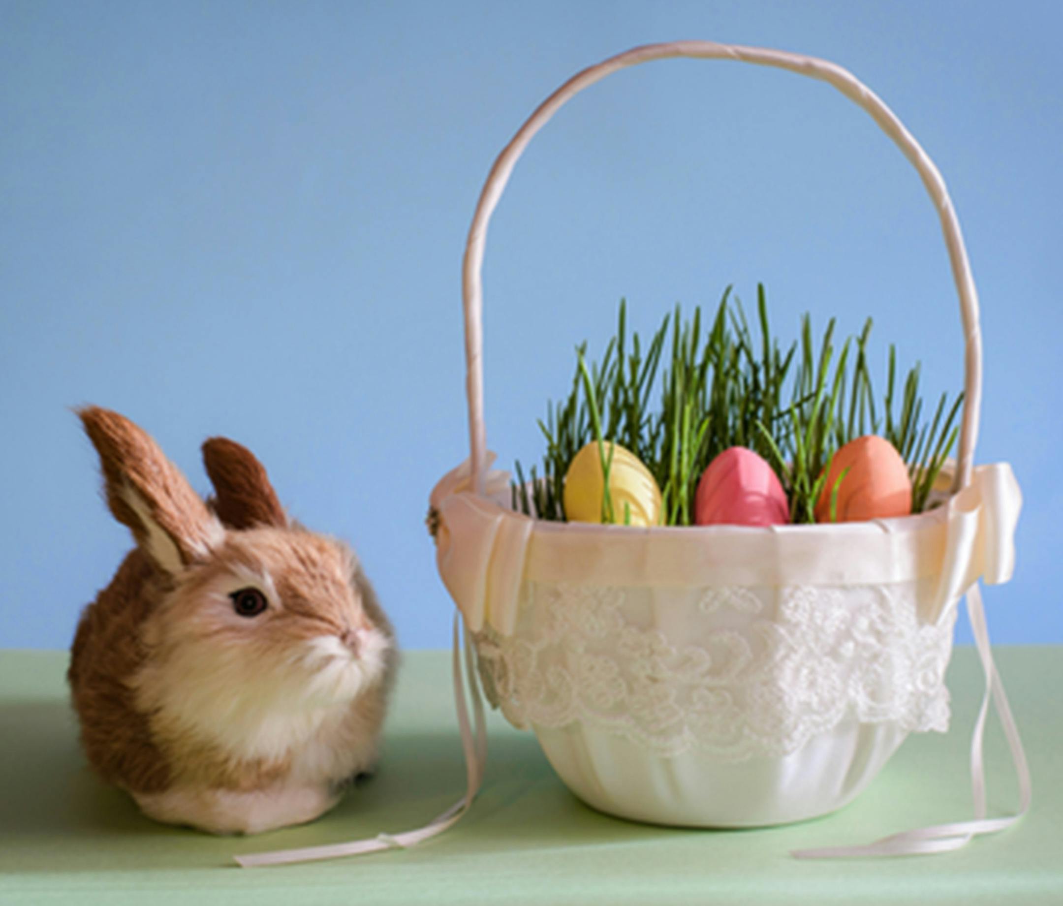 Easter eggs in basket with grass and rabbit (Dreamstime/TNS) ORG XMIT: 1226783