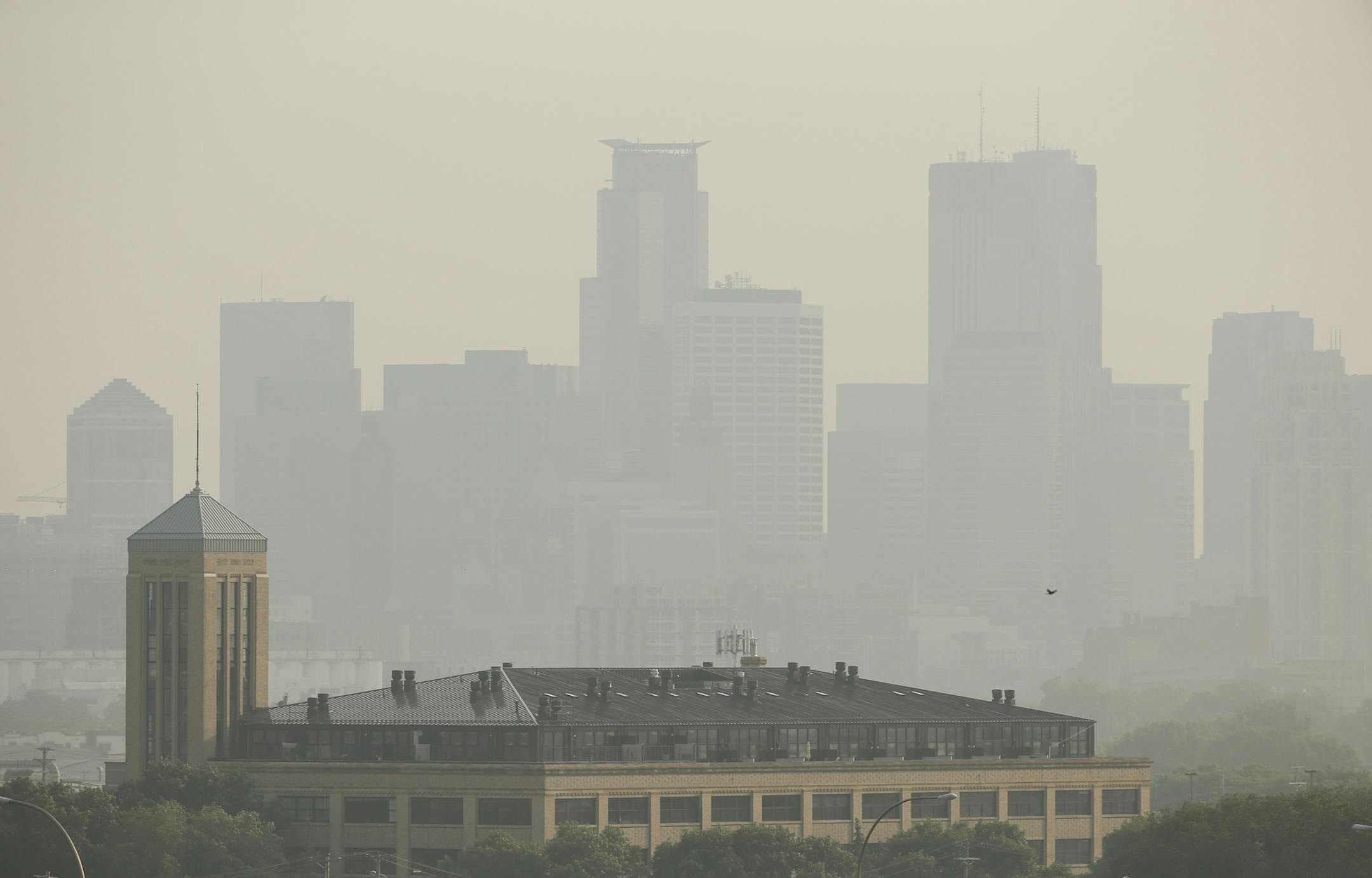 The Minneapolis skyline Monday afternoon from Ridgeway Parkway Park. JEFF WHEELER ï jeff.wheeler@startribune.com Fires burning in Saskatchewan continue to degrade air quality in Minnesota, Monday, July 6, 2015.