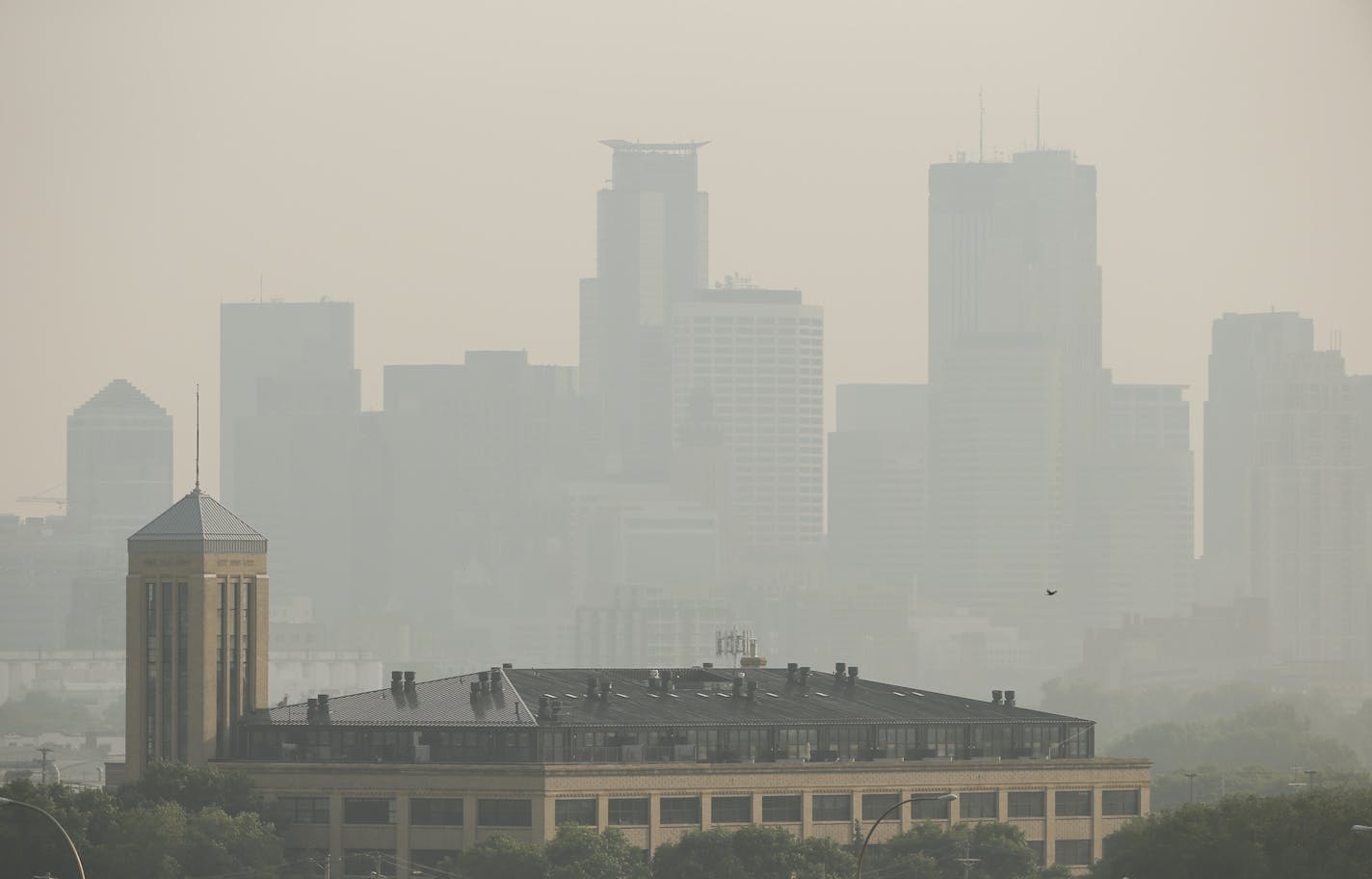 The Minneapolis skyline Monday afternoon from Ridgeway Parkway Park. JEFF WHEELER &#xef; jeff.wheeler@startribune.com Fires burning in Saskatchewan continue to degrade air quality in Minnesota, Monday, July 6, 2015.