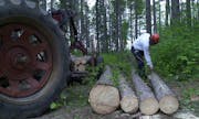 Thursday, May 31, 2001-Grand Rapids-This is the second day of a three-day Forest Summit being held by the DNR to explore new harvest techniques that c
