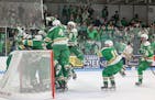 Edina players celebrate after the Hornets beat Wayzata 2-1 in the Class 2A Section 6 boys hockey championship March 1, 2023, at Bloomington Ice Garden