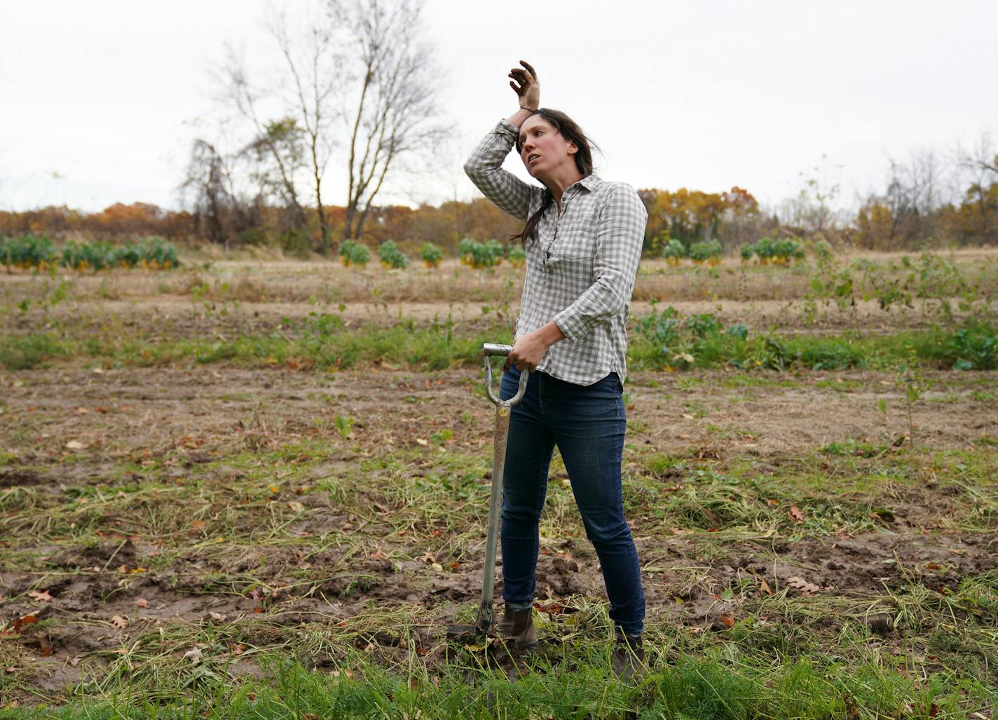 Kristin Pearson wiped her forehead as she harvested carrots at her rented land. ] ANTHONY SOUFFLE &#x2022; anthony.souffle@startribune.com Vegetable farmer Kristin Pearson harvested carrots along with her field manager Jay Acker Wednesday, Oct. 23, 2019 at her rented land in Oronoco, Minn. Pearson is currently working to buy land near Lake City. Starting out in farming is more difficult than it's ever been, thanks to high land prices and high capital costs. If you want to get into conventional f