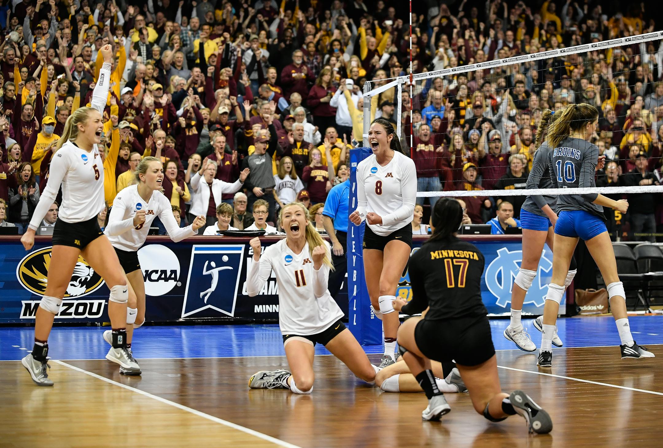 The Minnesota Golden Gophers celebrate their 3-0 NCAA regional final victory over the UCLA Bruins Saturday night. ] (AARON LAVINSKY/STAR TRIBUNE) aaron.lavinsky@startribune.com The University of Minnesota Golden Gophers volleyball team played UCLA in the NCAA regional final on Saturday, Dec. 10, 2016 at the University of Minnesota Sports Pavilion in Minneapolis, Minn.