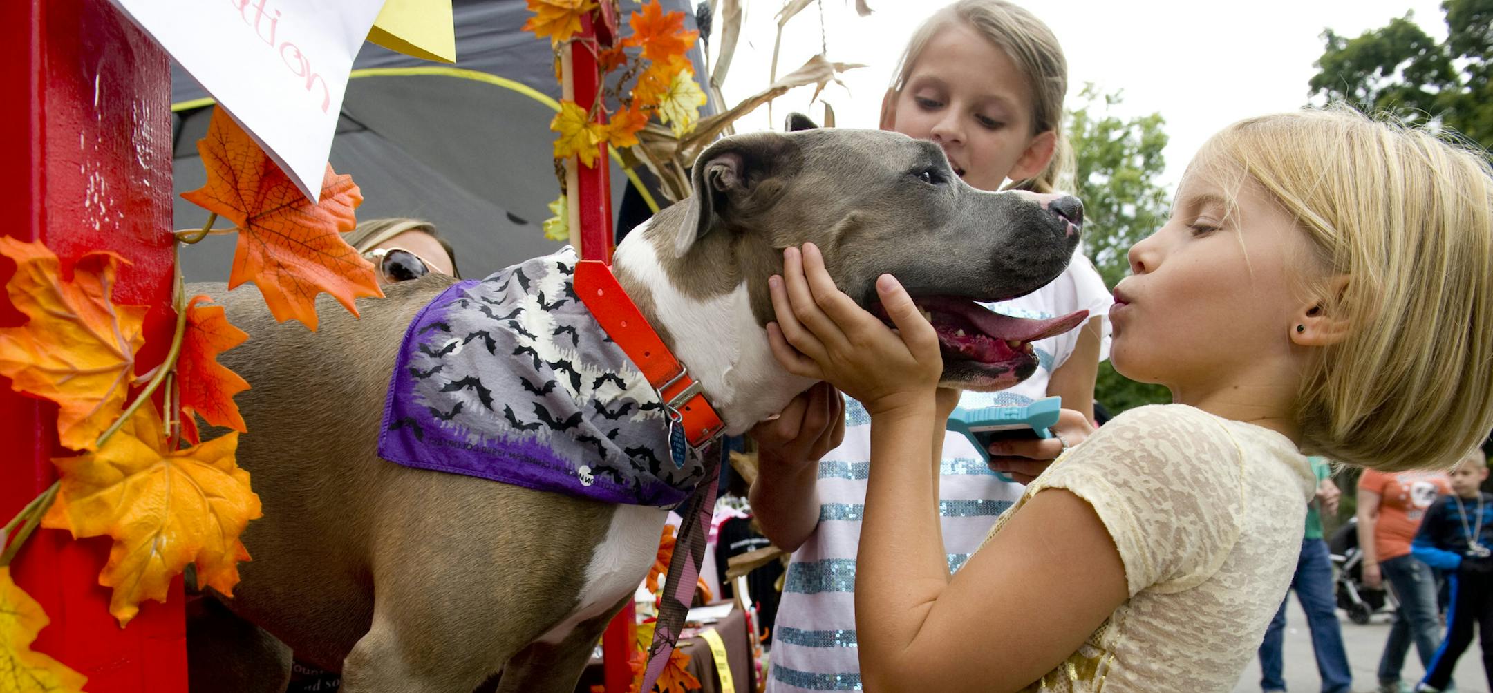 Adelyn Gamblin, of Evansville, Ind., is greeted by from Dottie in the Posey County Pound Puppies "kissing booth" Sunday, Sept. 20, 2015, during Kunstfest in New Harmony, Ind. (Denny Simmons/Evansville Courier & Press via AP) MANDATORY CREDIT