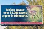 A University of Minnesota wolf research group set out to debunk this billboard purchased by deer hunters.