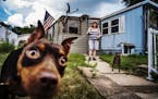 Holly and Buddy are a couple canine residents of Landfall, the tiny mobile home park city in the east metro, is on the verge of a serious boost in tra