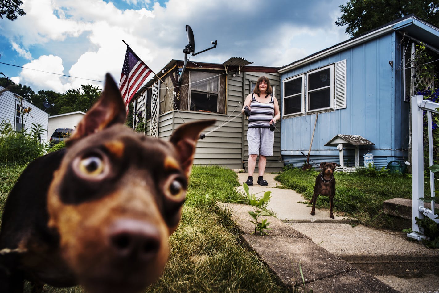 Holly and Buddy are a couple canine residents of Landfall, the tiny mobile home park city in the east metro, is on the verge of a serious boost in transit service.