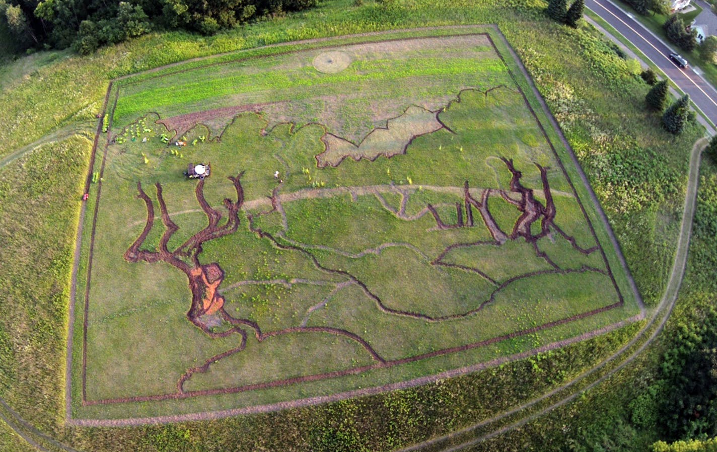 Attached are updated aerial pix of the &#xcf;crop art&#xd3; Van Gogh - by artist Stan Herd to celebrate the 100yrs of the Minneapolis Institute of Art ORG XMIT: MIN1507161349240811