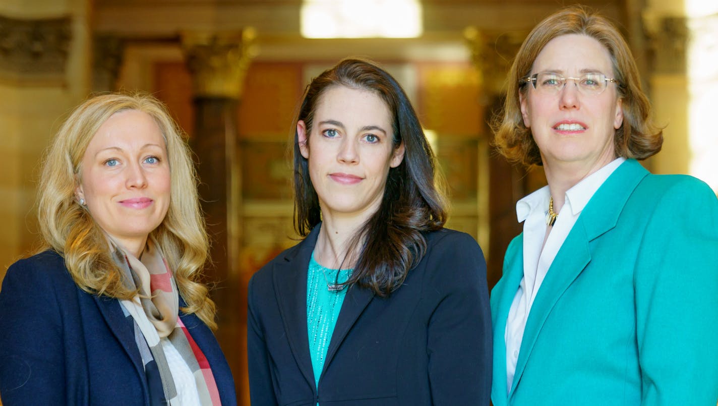 DFL Candidates for Minnesota House district 49A Heather Edelson, Cheryl Barry and Carolyn Jackson. Edelson just received the party&#xed;s endorsement at the district convention. ] GLEN STUBBE &#xef; glen.stubbe@startribune.com Thursday, March 15, 2018 At least 76 women, many of them first-time candidates, are running for the 134 seats in the Minnesota House this year. The state is part of a national trend: A record 575 women are running for seats in the U.S. House and Senate or governor.