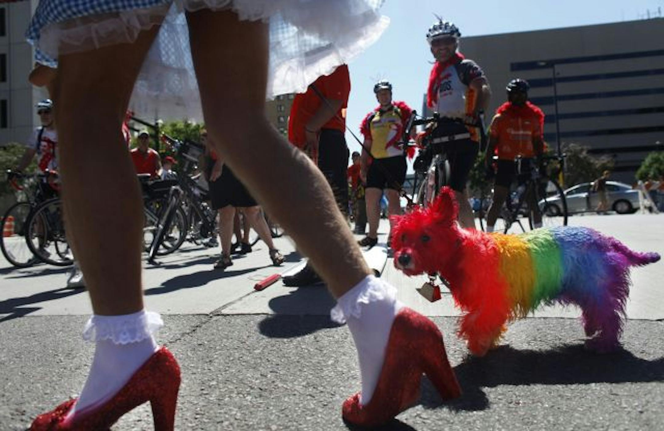 Richard Tsong-Taatarii/rtsong-taatarii@startribune.com Minneapolis, MN;6/28/09;left to right: At the GLBT Pride parade, Iain St. James walked his dog Jacques before the start of the parade. The are dressed as Dorothy and Toto. "There is no place like homo," said St. James to parade attendees.