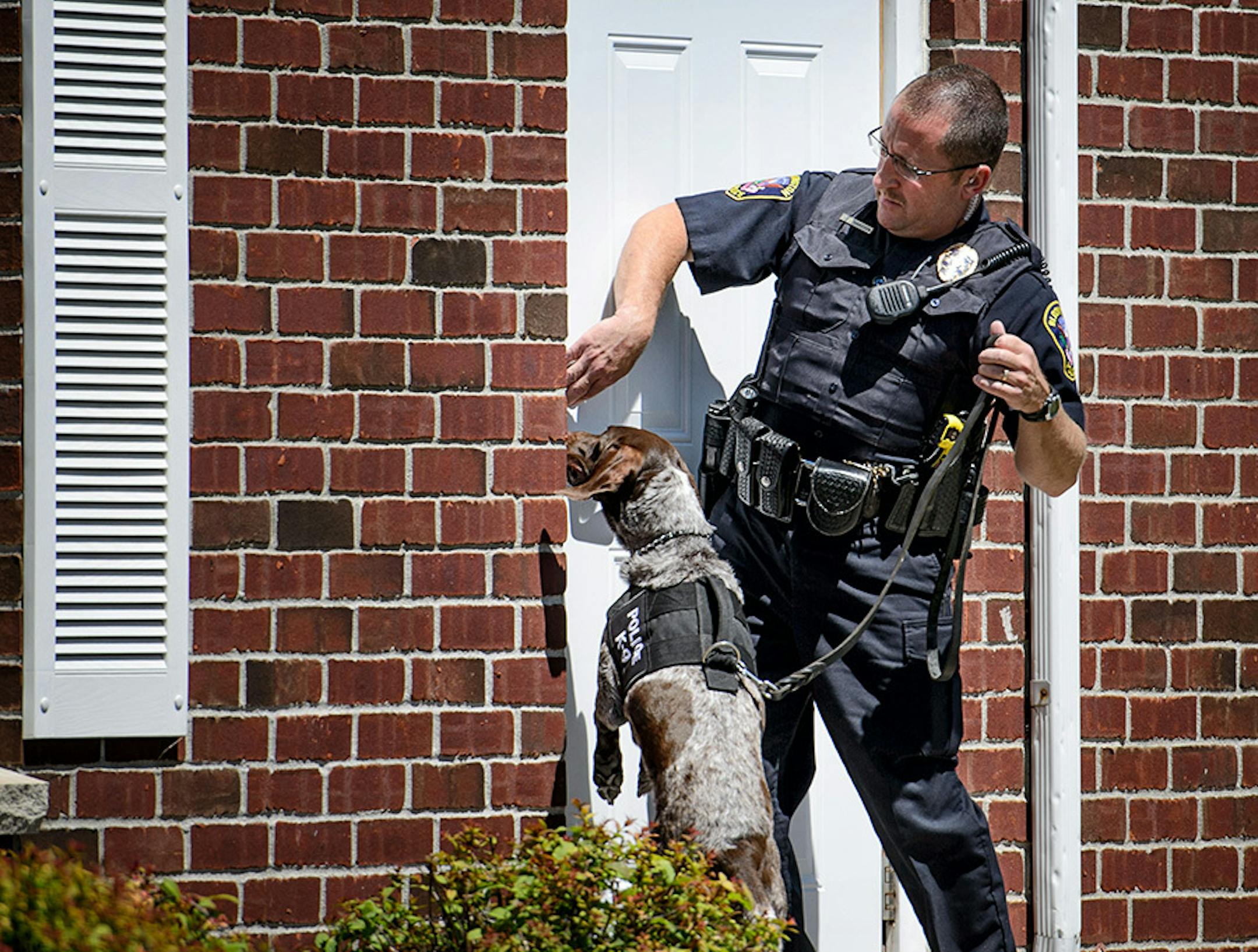 Blooming Police K-9 explosives detection team checked out a side entrance to River Bluff Dental in Bloomington, owned by Dr. Walter Palmer who is accused of killing Cecil a beloved lion in Zimbabwe. ] GLEN STUBBE * gstubbe@startribune.com Wednesday, July 29, 2015 Protest activity outside River Bluff Dental in Bloomington, owned by Dr. Walter Palmer who is accused of killing Cecil a beloved lion in Zimbabwe.