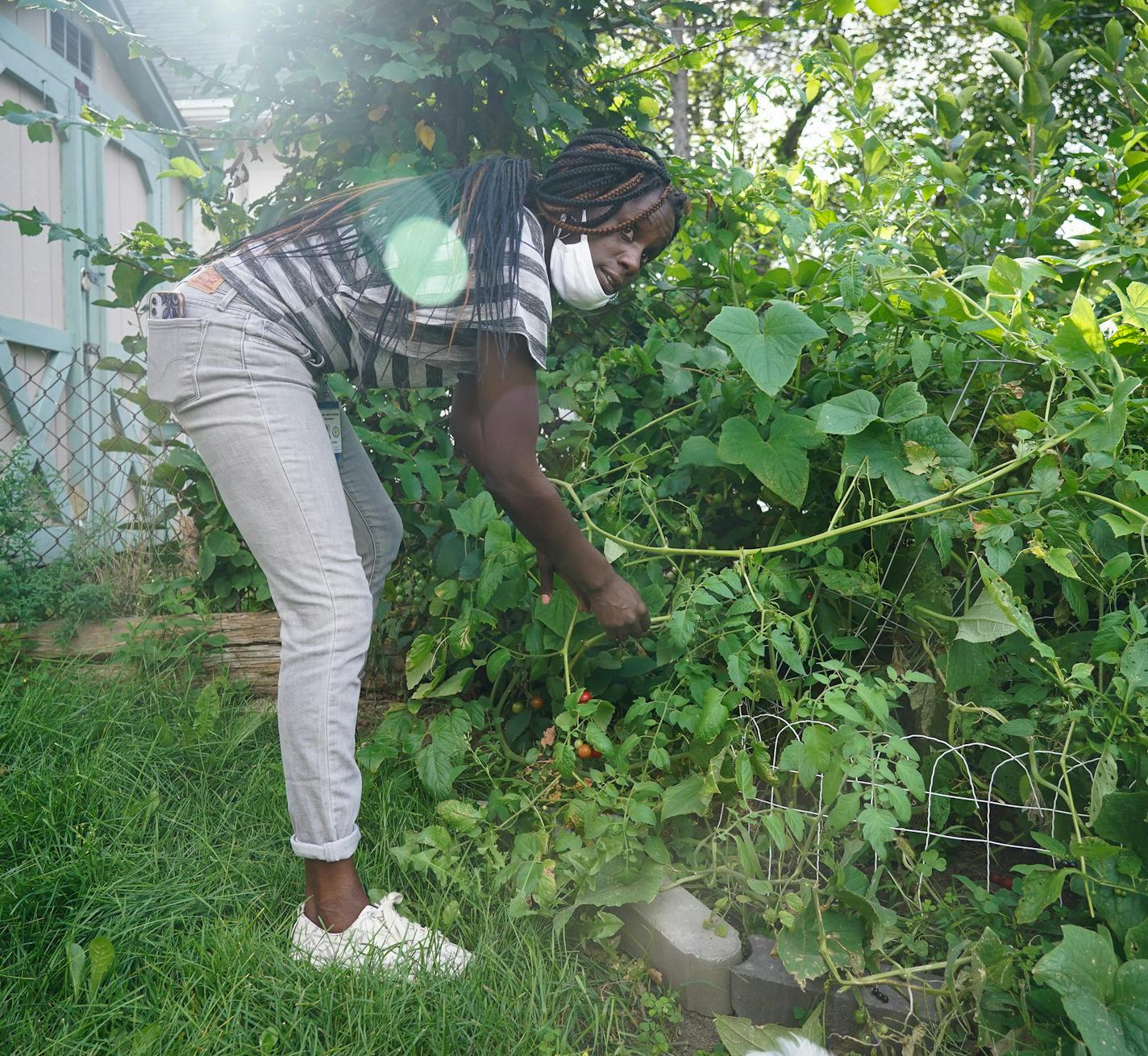 In St. Paul, LeAndra Estis picked cherry tomatoes, which she adds to her daily salads.