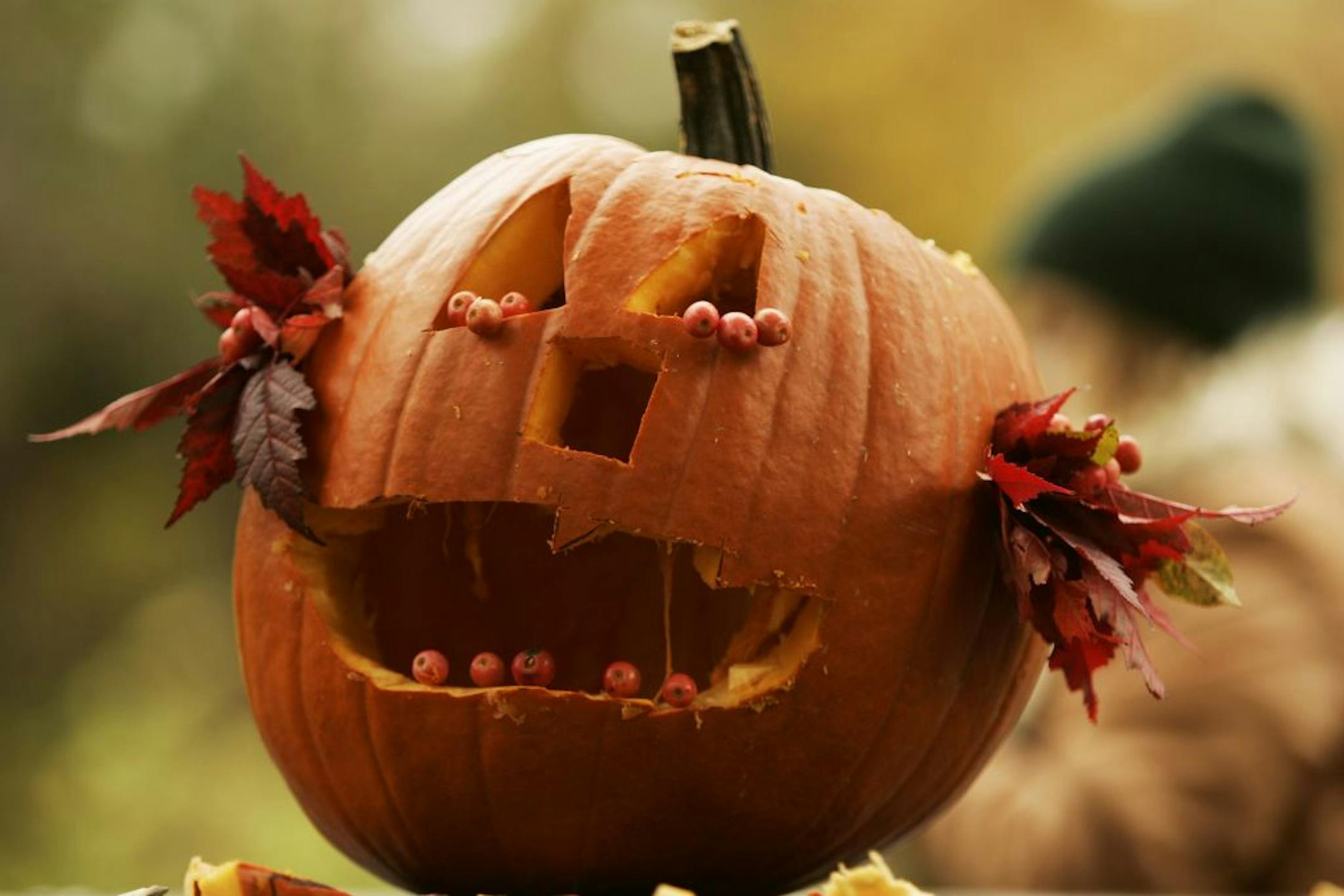Detail of carved pumpkin. General Caption: As part of its Halloween celebration, Anoka held a pumpkin carving contest at Riverside Park on Saturday. Participating kids had their pumpkins judged by Anoka Royal Ambassadors. Brother and sister Joseph, 10, and Sara, 10, Lerum shared the first place prize. (Ramin Rahimian/Star Tribune) GENERAL INFORMATION: Pumpkin Carving Contest at Riverside Park in Anoka for North 10/27/04