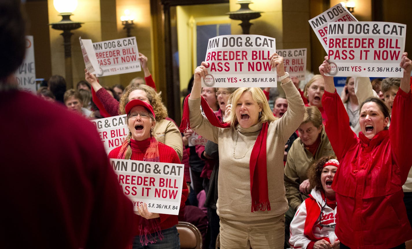 Supporters cheered for a bill that would regulate dog and cat breeders in Minnesota which is among the largest producers of puppies in the nation. Speakers talked about rescuing dogs from horrific conditions that exist in some of the unregulated puppy mills now. Tuesday, February 19, 2013 ] GLEN STUBBE * gstubbe@startribune.com