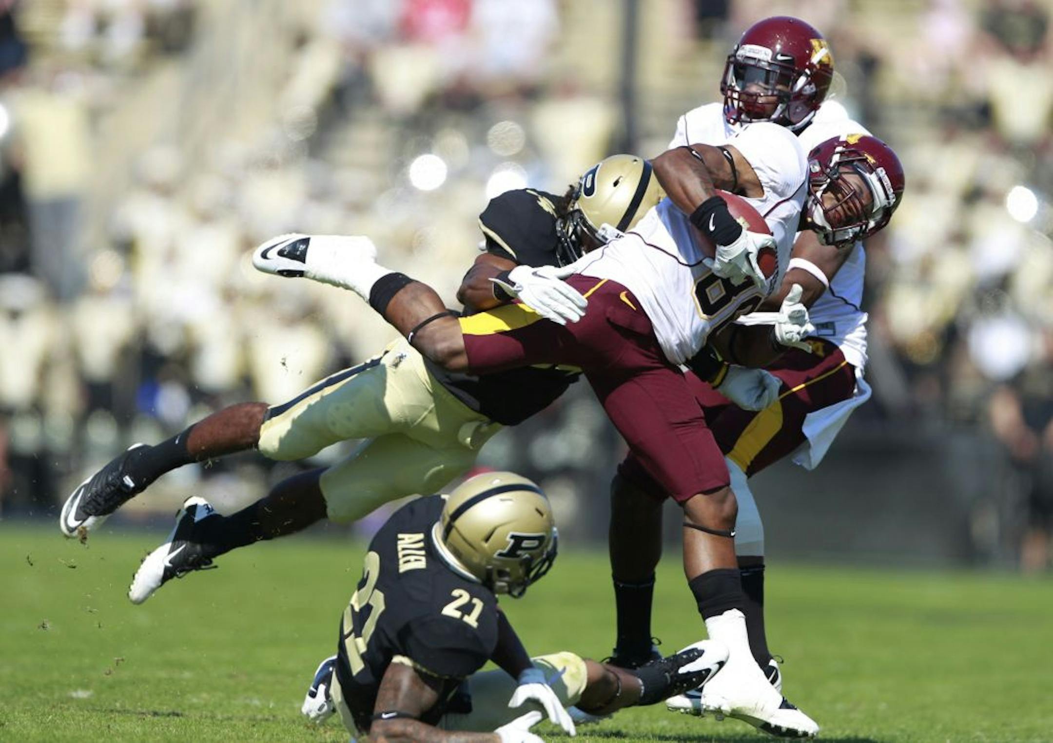 Minnesota's wide receiver Malcolm Moulton was tackled by a Purdue defender in the second quarter after picking up a first down during Saturday October 8, 2011Big Ten action between Minnesota and Purdue at Ross-Ade Stadium in West Lafayette, Indiana.
