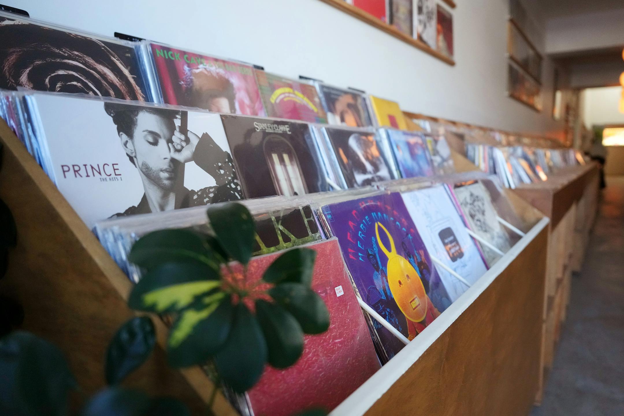 Records sit out for sale at Disco Death Records in Minneapolis.