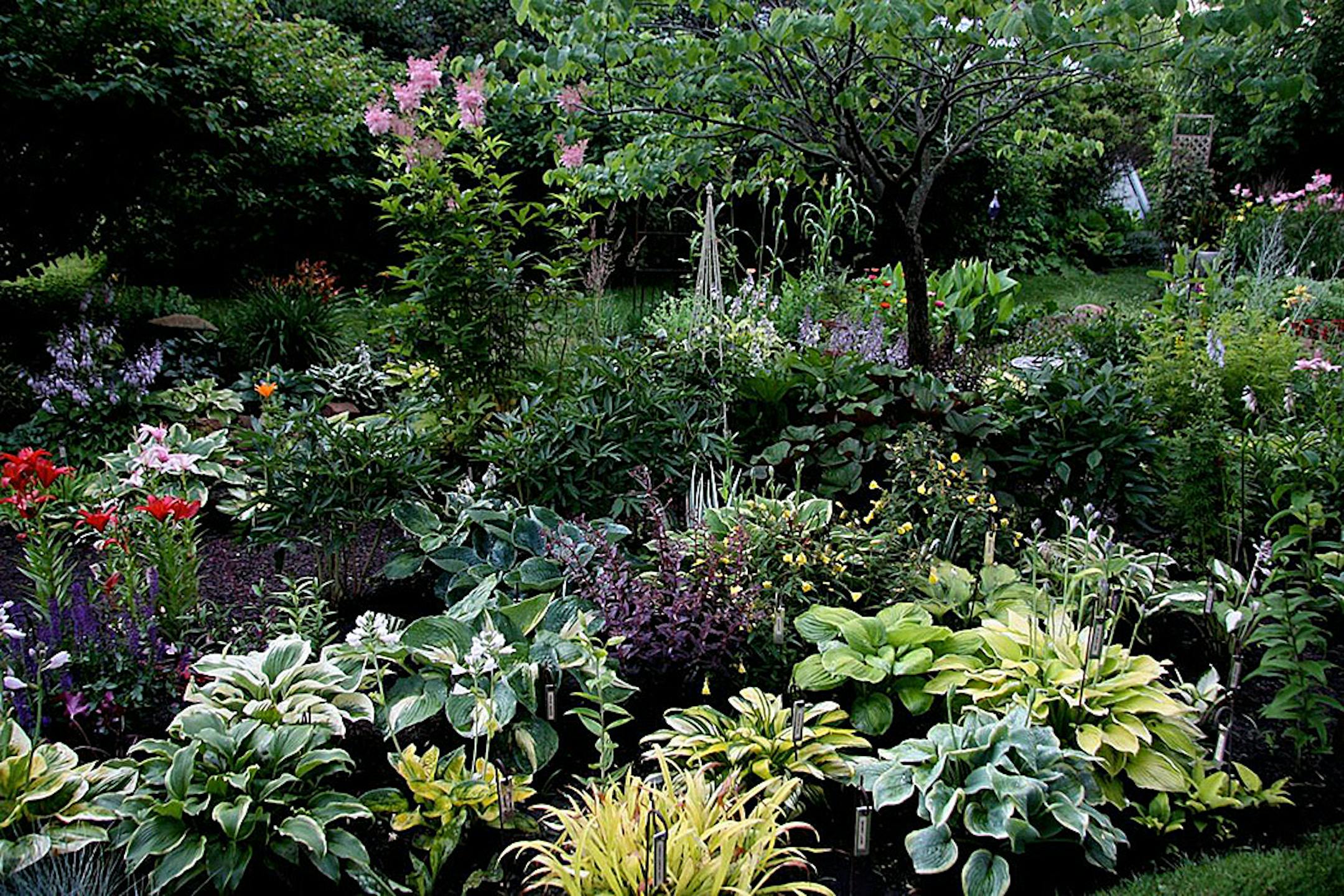 Mike and Kathy Pedersen's Shakopee gardens are an oasis of colorful perennials and hosta bordering a stream and pond. Provided
