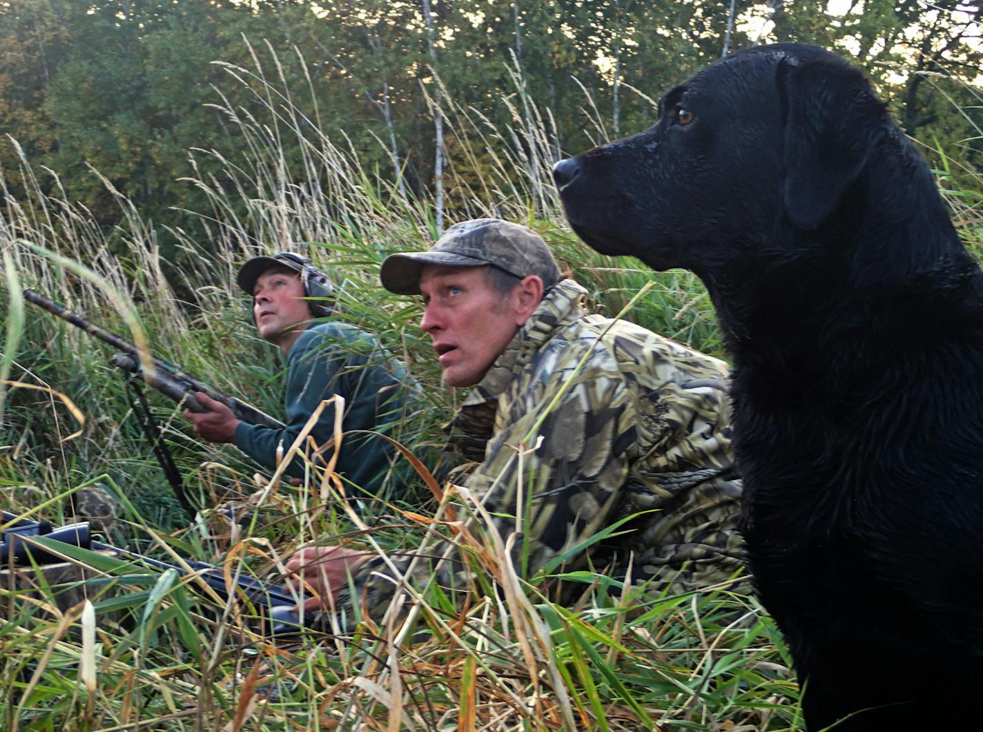 Wildlife artists and brothers Jim (left) and Bob Hautman eye a pair of mallards approaching their decoys Saturday morning, when the state's 2014 waterfowl season opened. Del, a black Labrador, prepared for a possible retrieve.