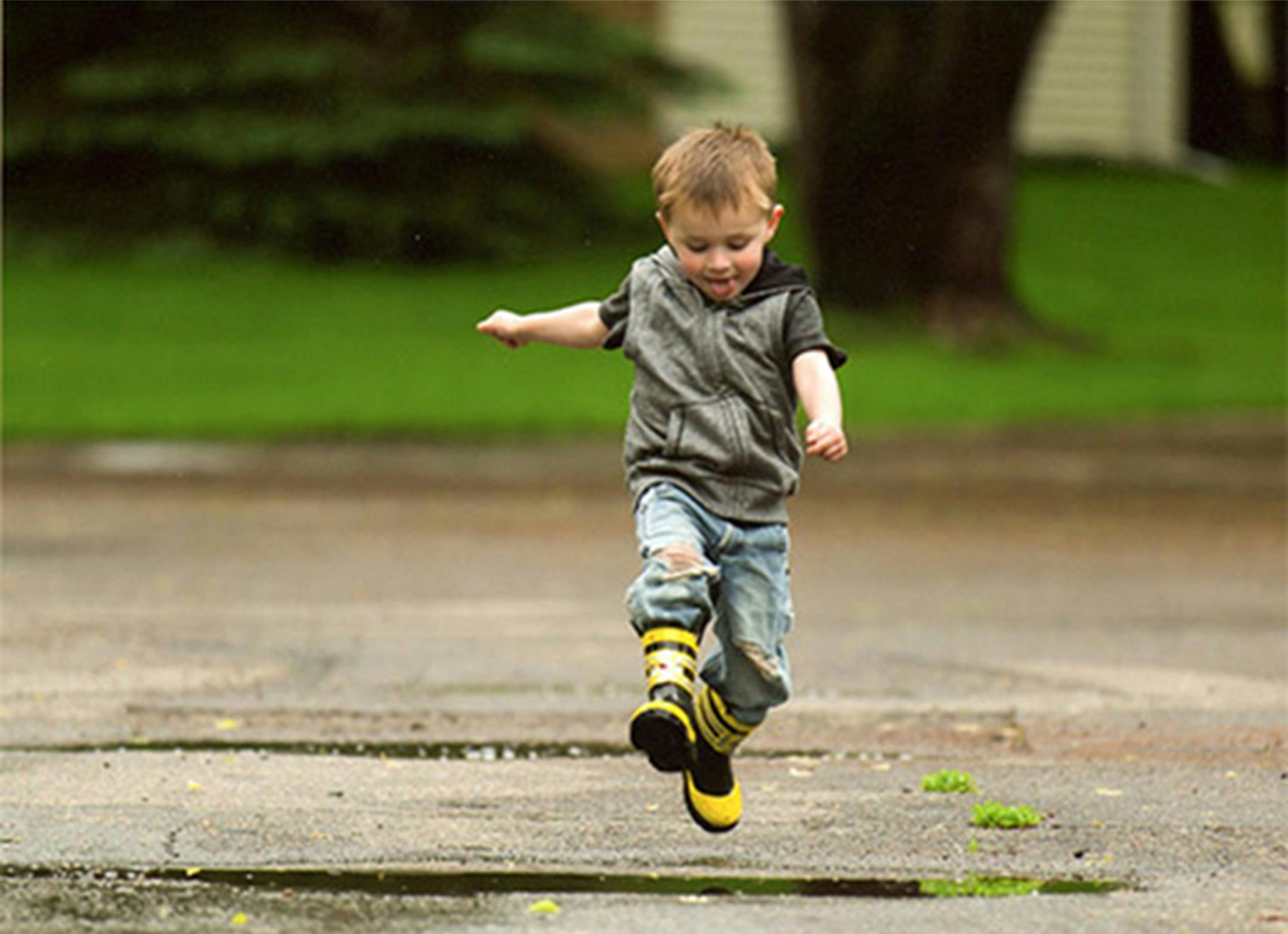 Puddle Lovin', by Catherine Burbank, honorable mention, 2014 New Hope photo contest